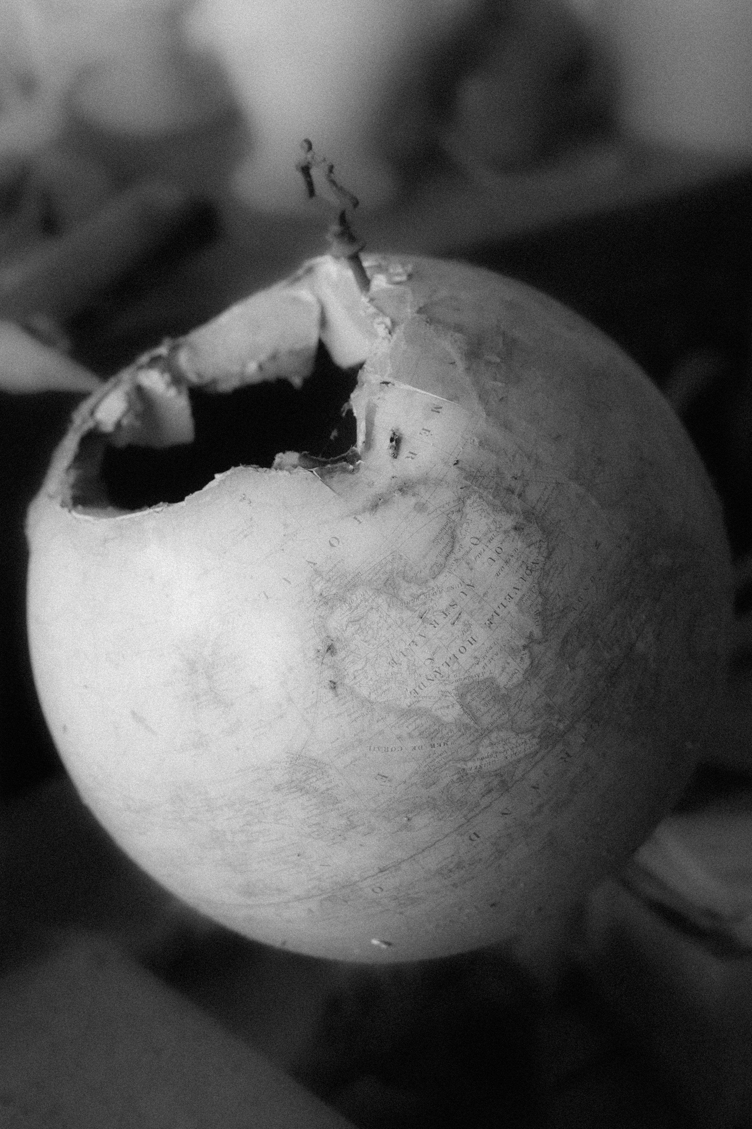 “let the wolf howl in the night”. Anna Guseva | Visual artist