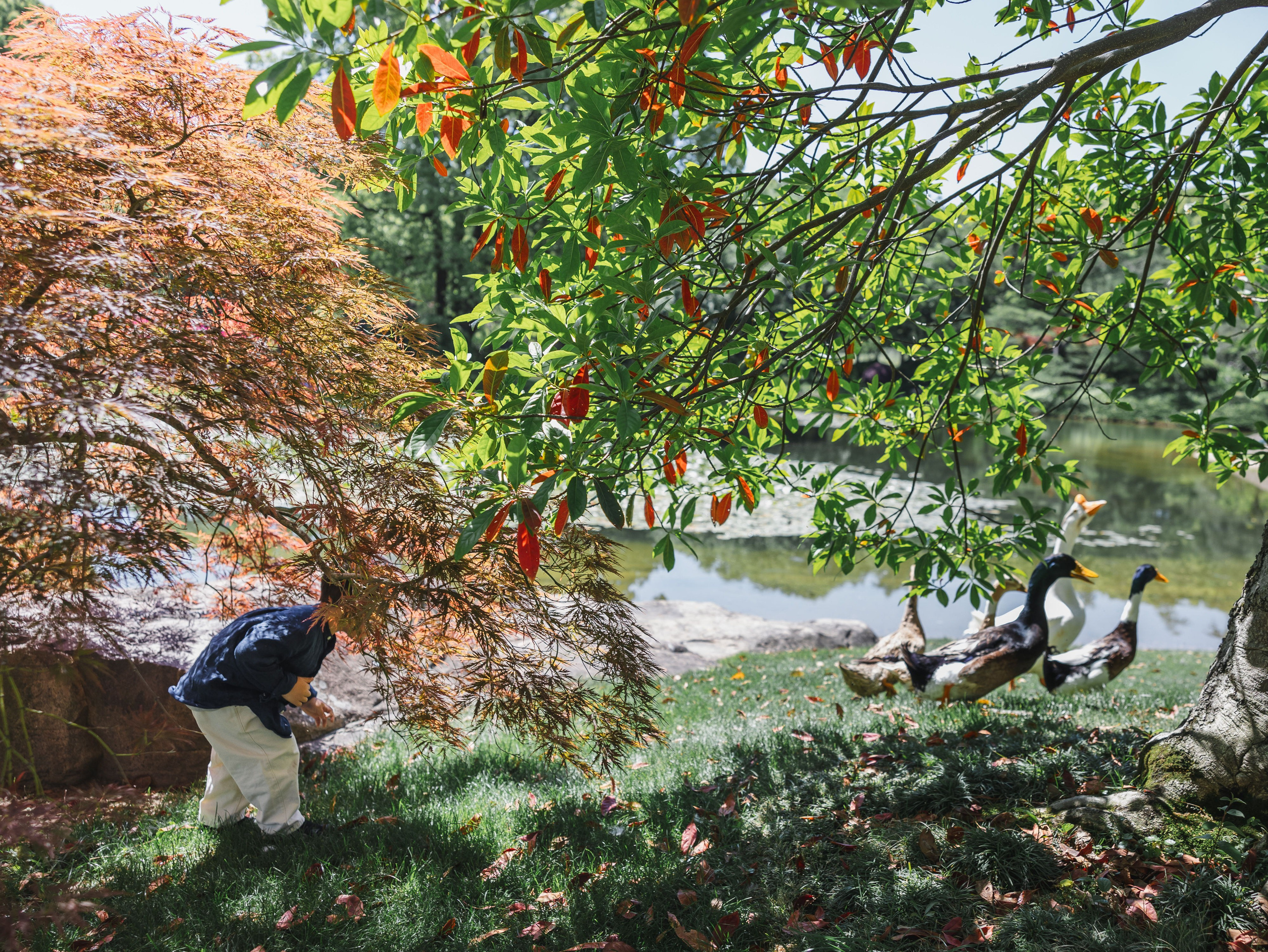 Family Photography in Shanghai | Dora