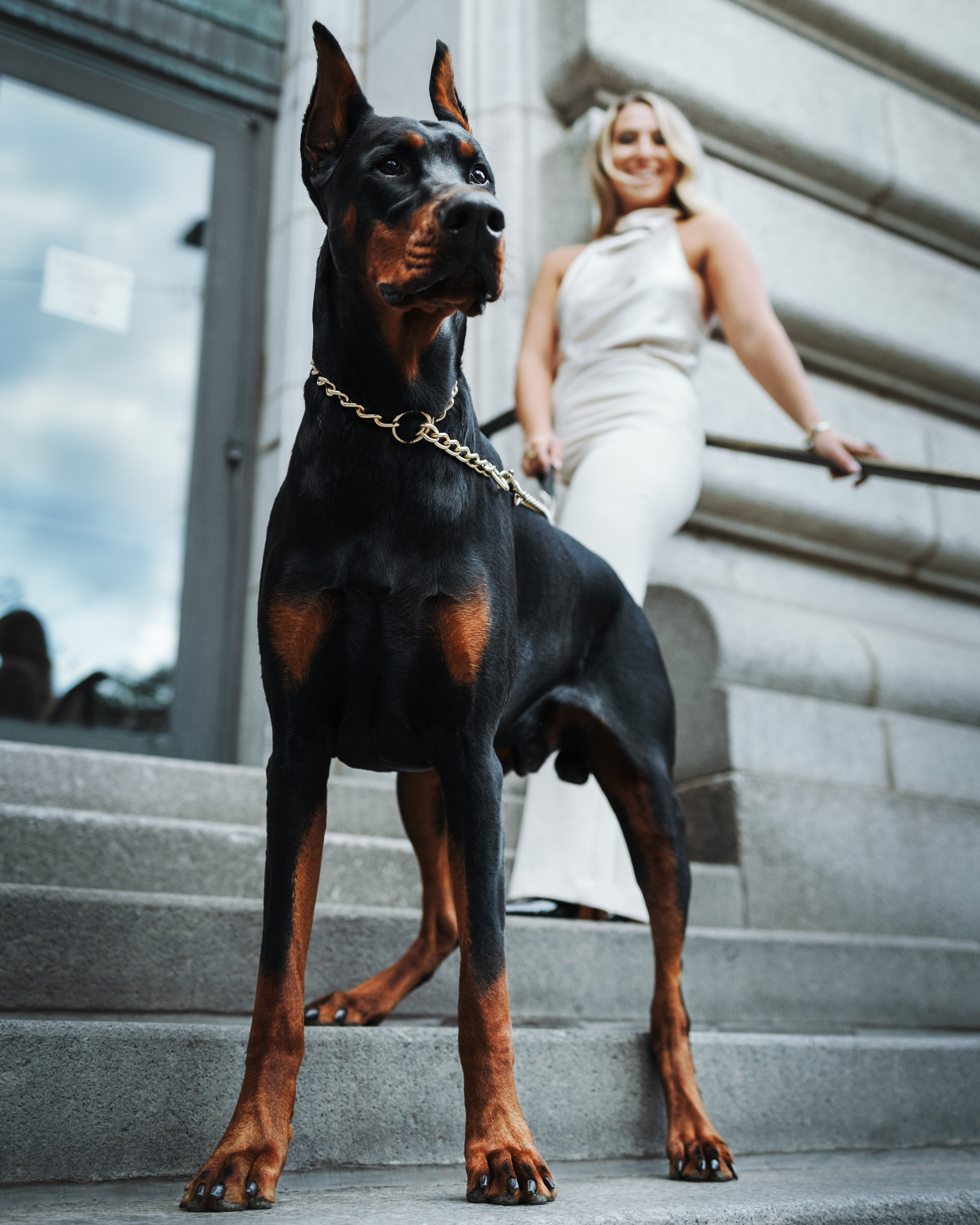 Enzo & Victoriya. Pet Photographer Viktoriya Aleshenko