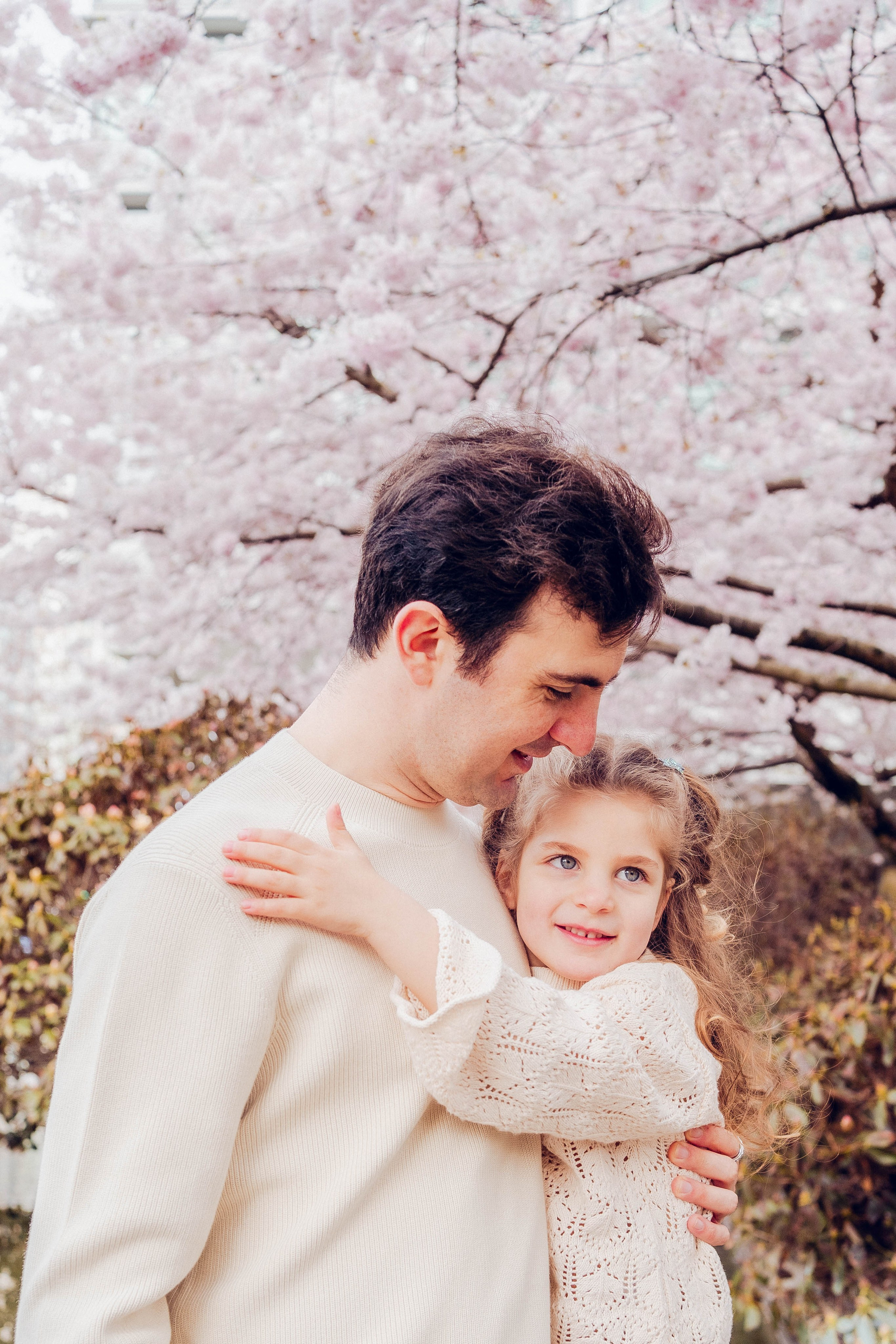 Cherry blossom. Main