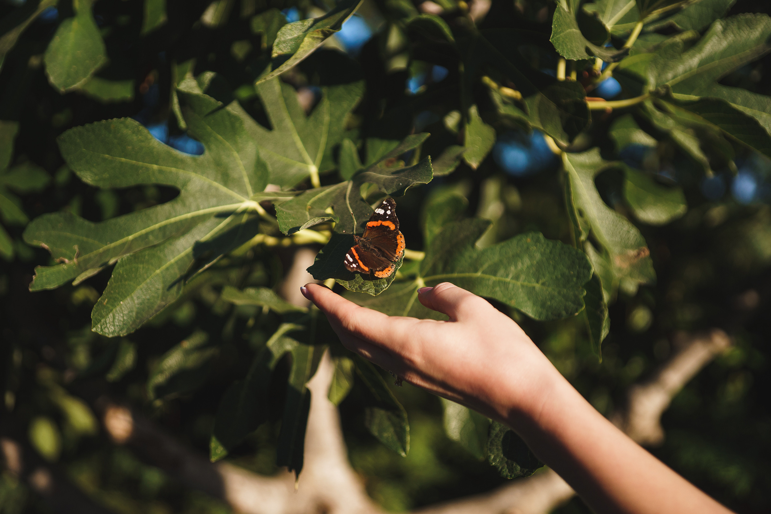 Илона и Стоян. Фотограф в Болгарии Екатерина Зубкова