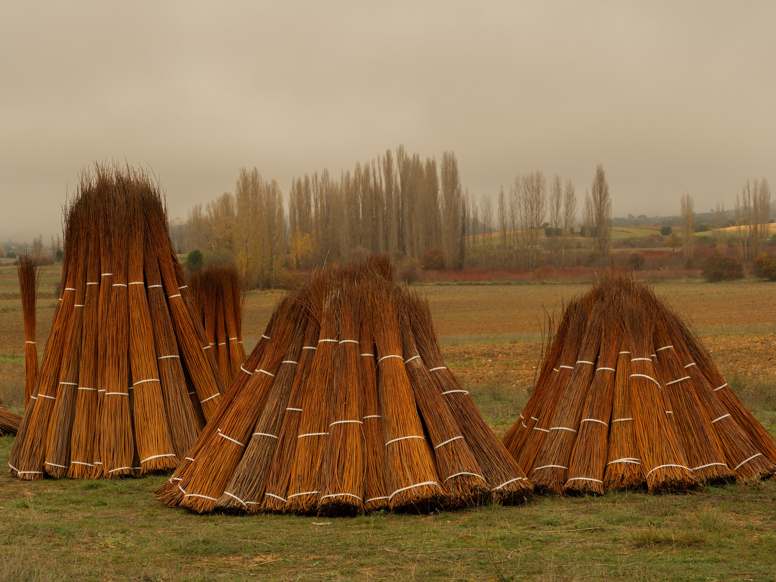 Paisajismo. Fotógrafa de Periodismo y Documentación, Teatro, Cine, Shooting para Modelos, Bodas, Bautizos, Comuniones, Familia y Eventos