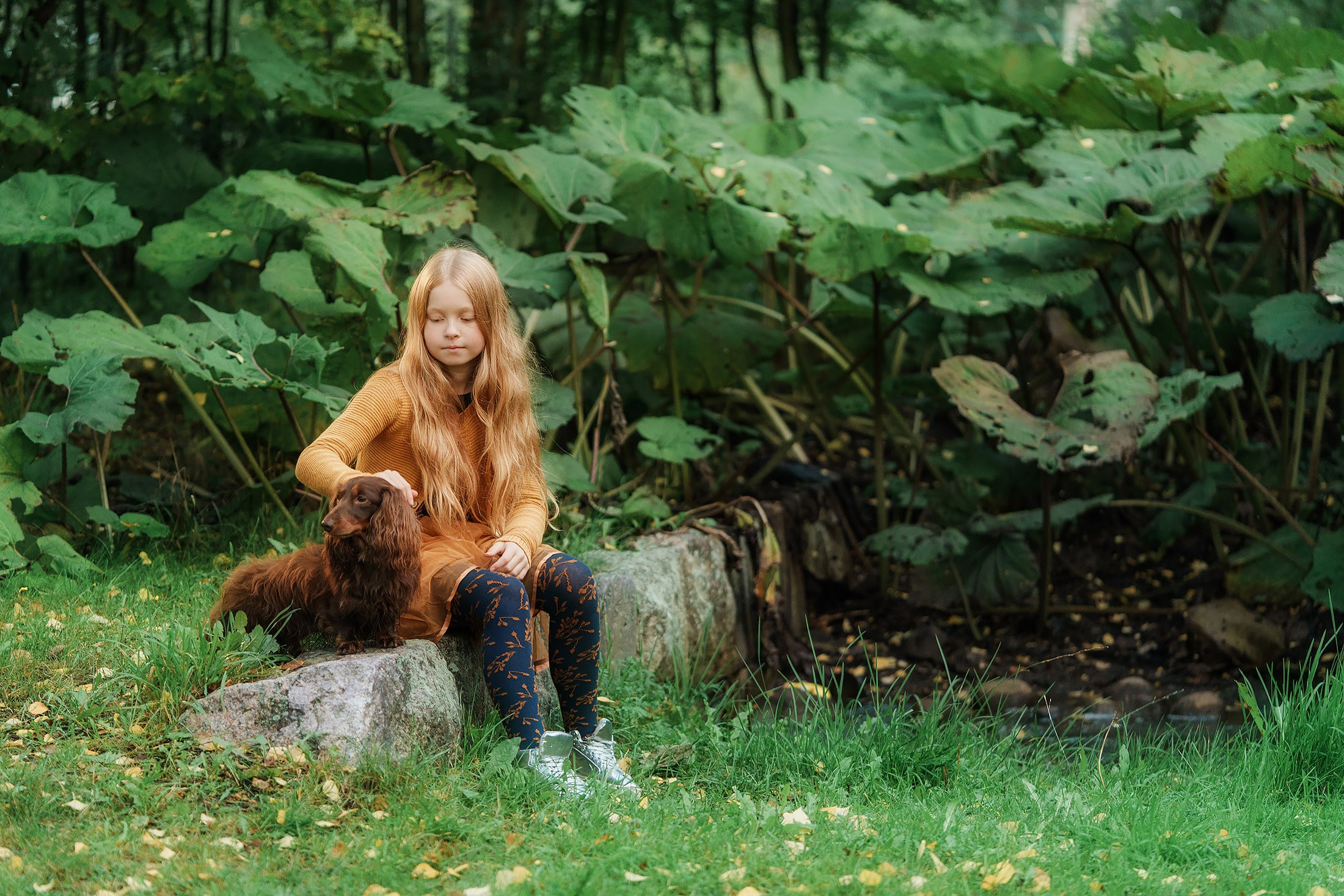 Tyttö ja koira syksyisessä metsässä.