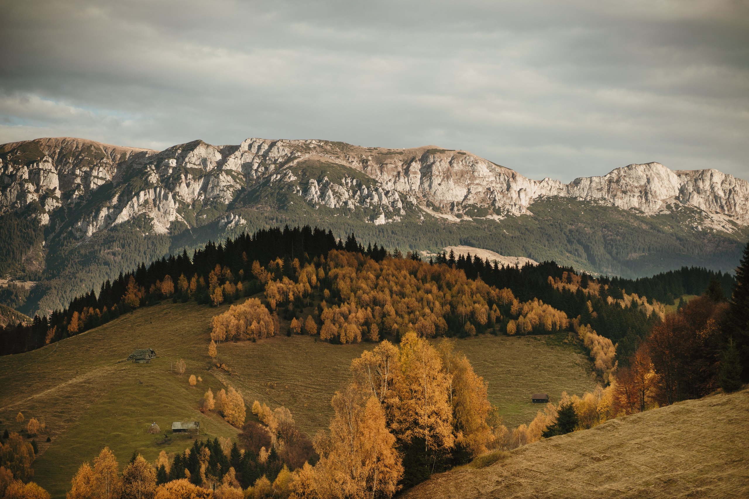 Alina & Razvan. Fotograf de eveniment din Buzău | Bogdan