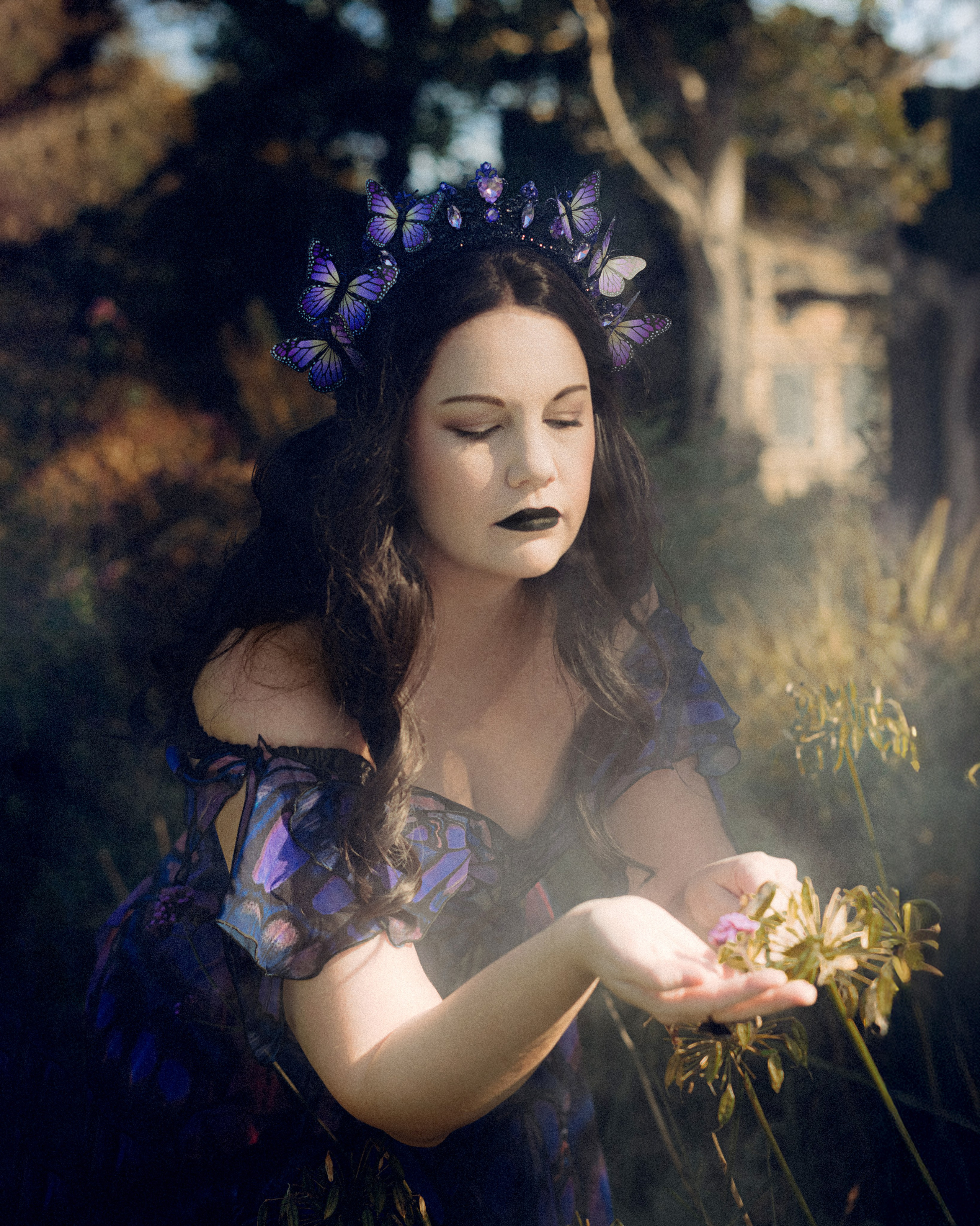 Butterfly purple fairy in a blooming garden. Moth & Moss Photography