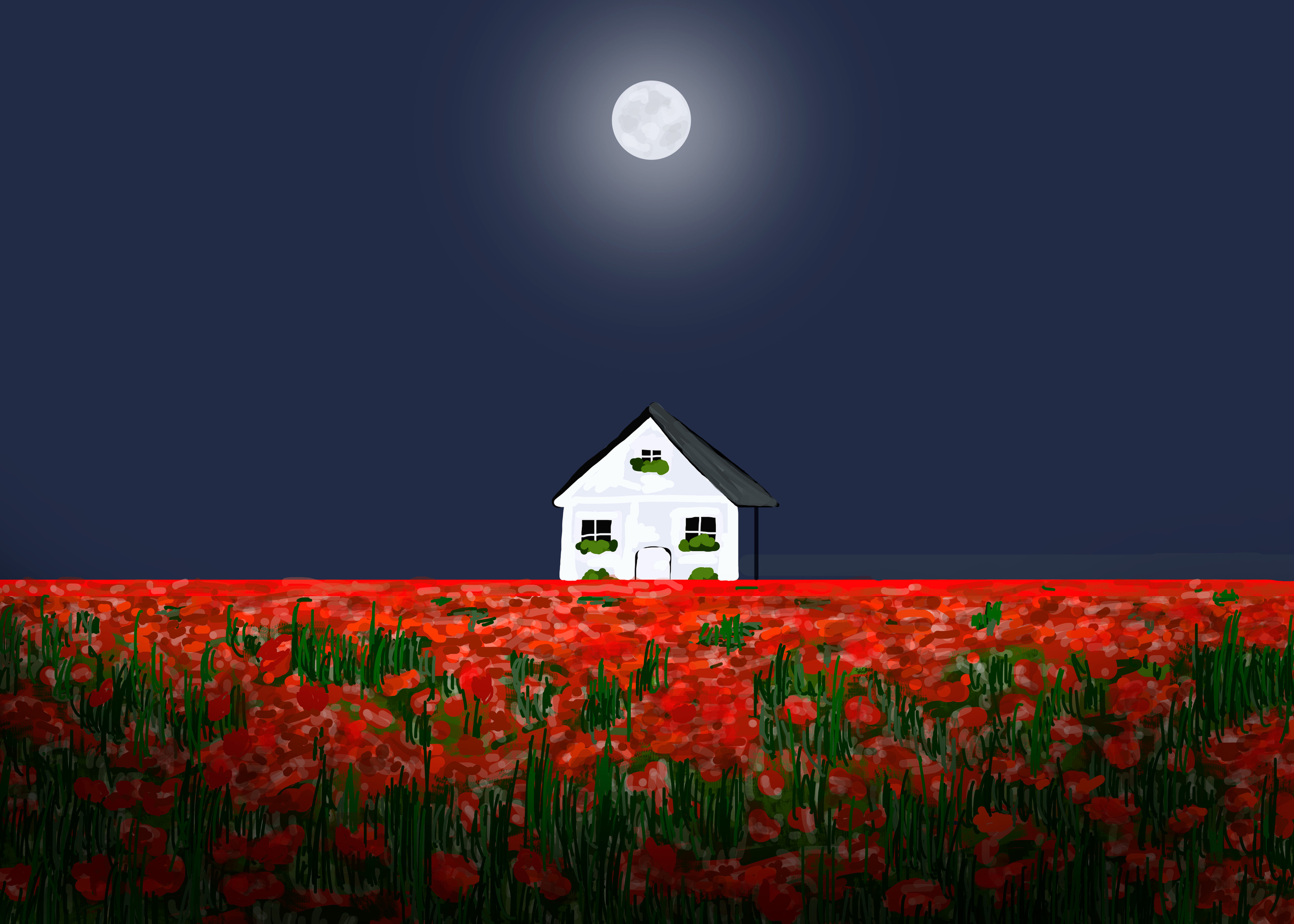 პორტფოლიო. მთავარი