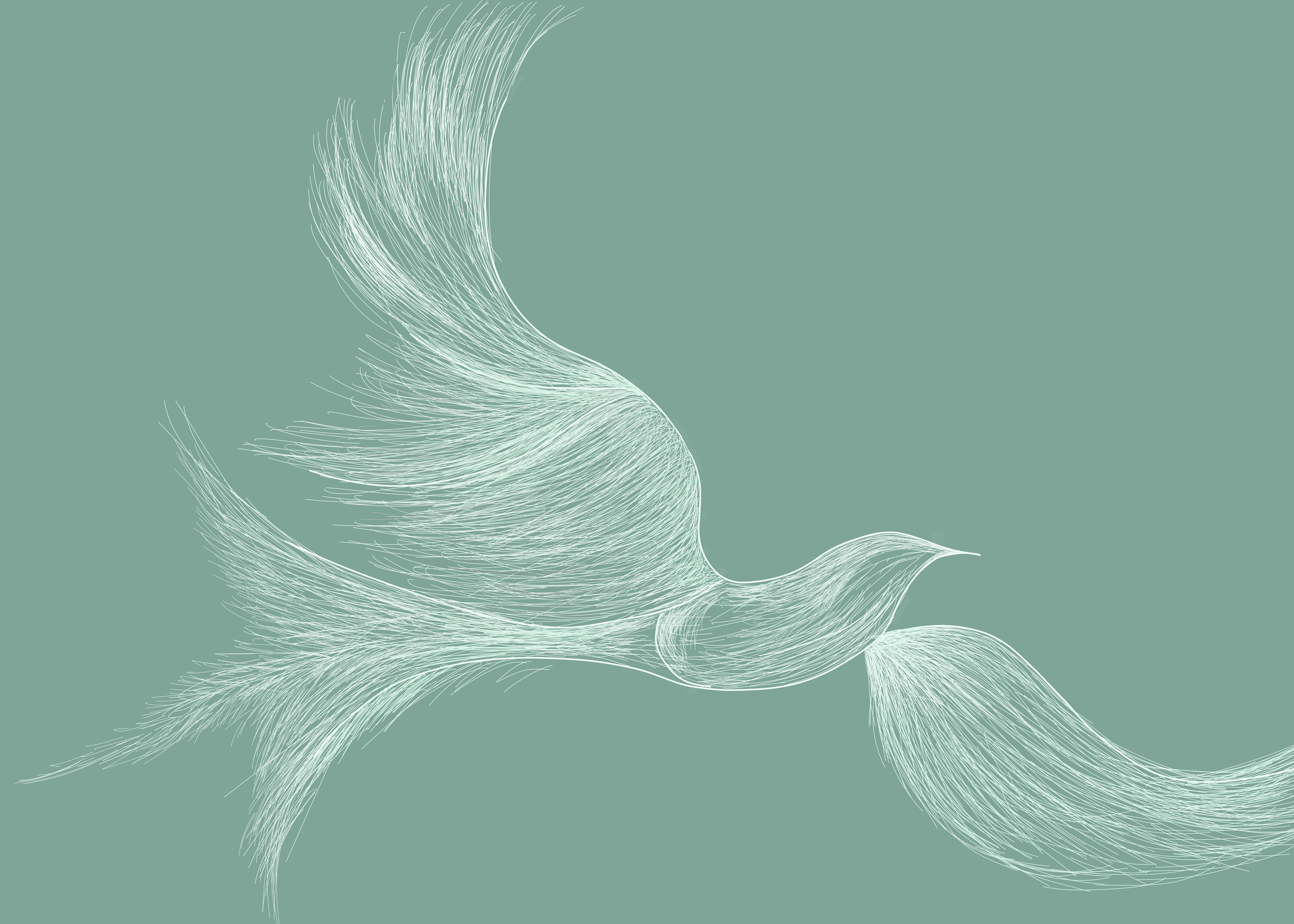 პორტფოლიო. მთავარი