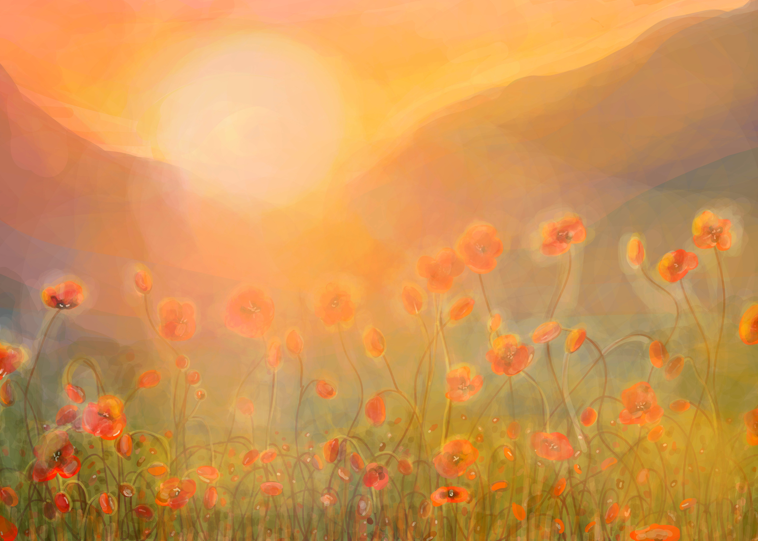 პორტფოლიო. მთავარი