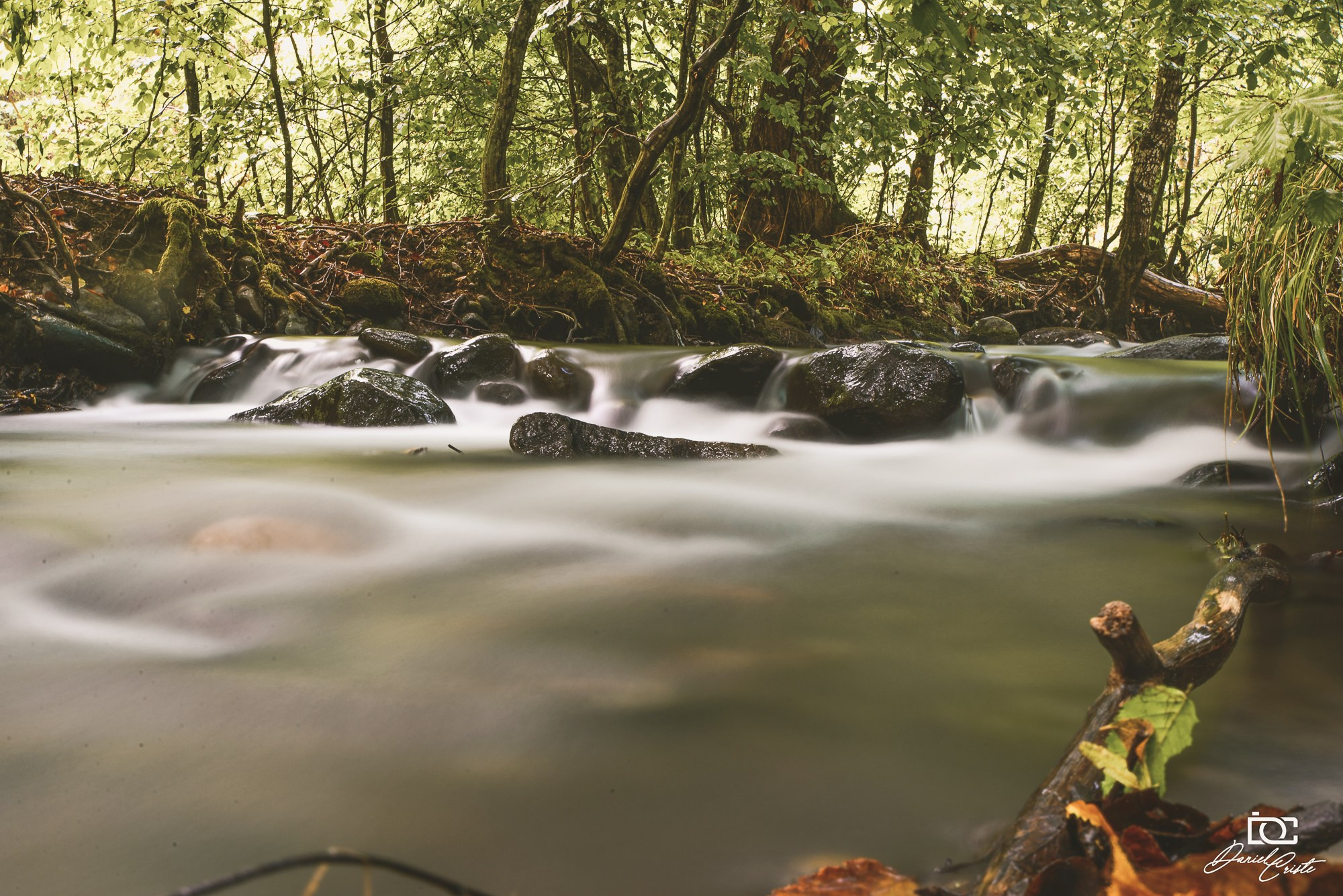 Peisaj /natura. Daniel Criste Fotograf