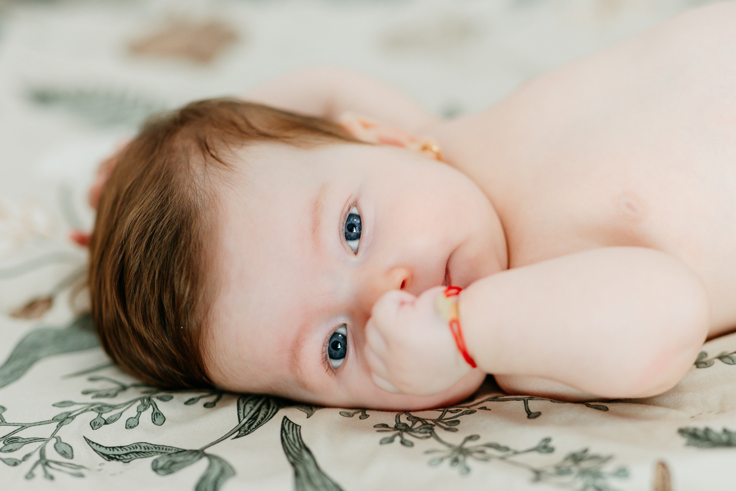 Botez. FreitagPROFOTO