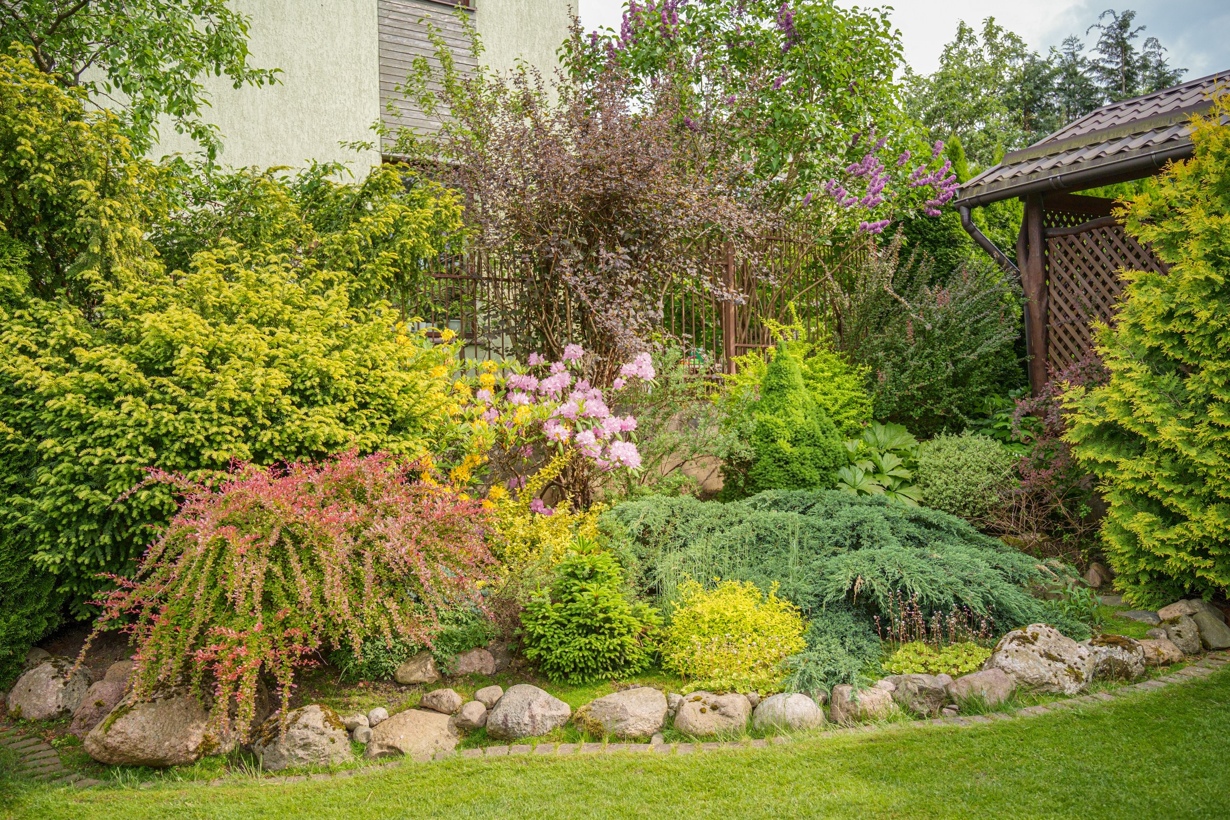 Viršupio sodų 1-oji. Elina Sapiega fotografė Vilniuje