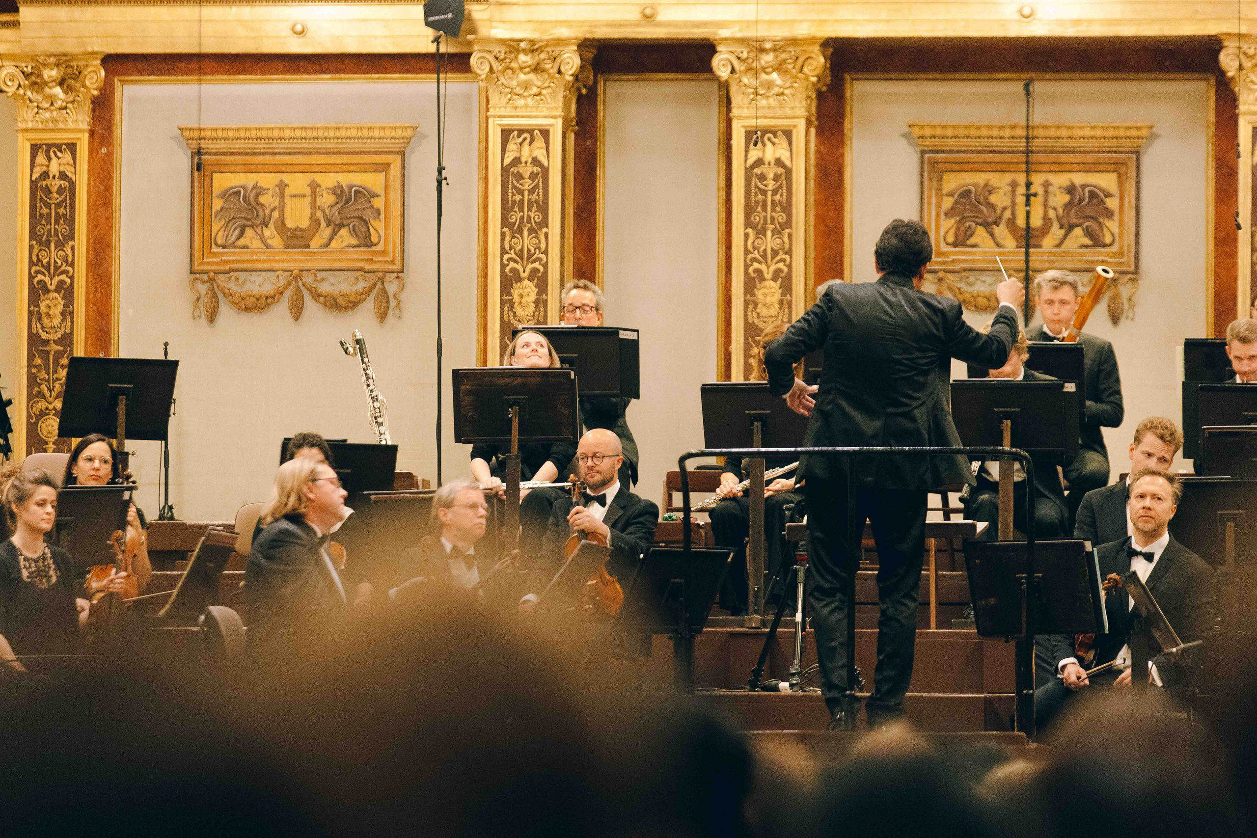 MUSIKVEREIN (VIENNA). Wedding&Event photographer Ismail Rzayev in Baku