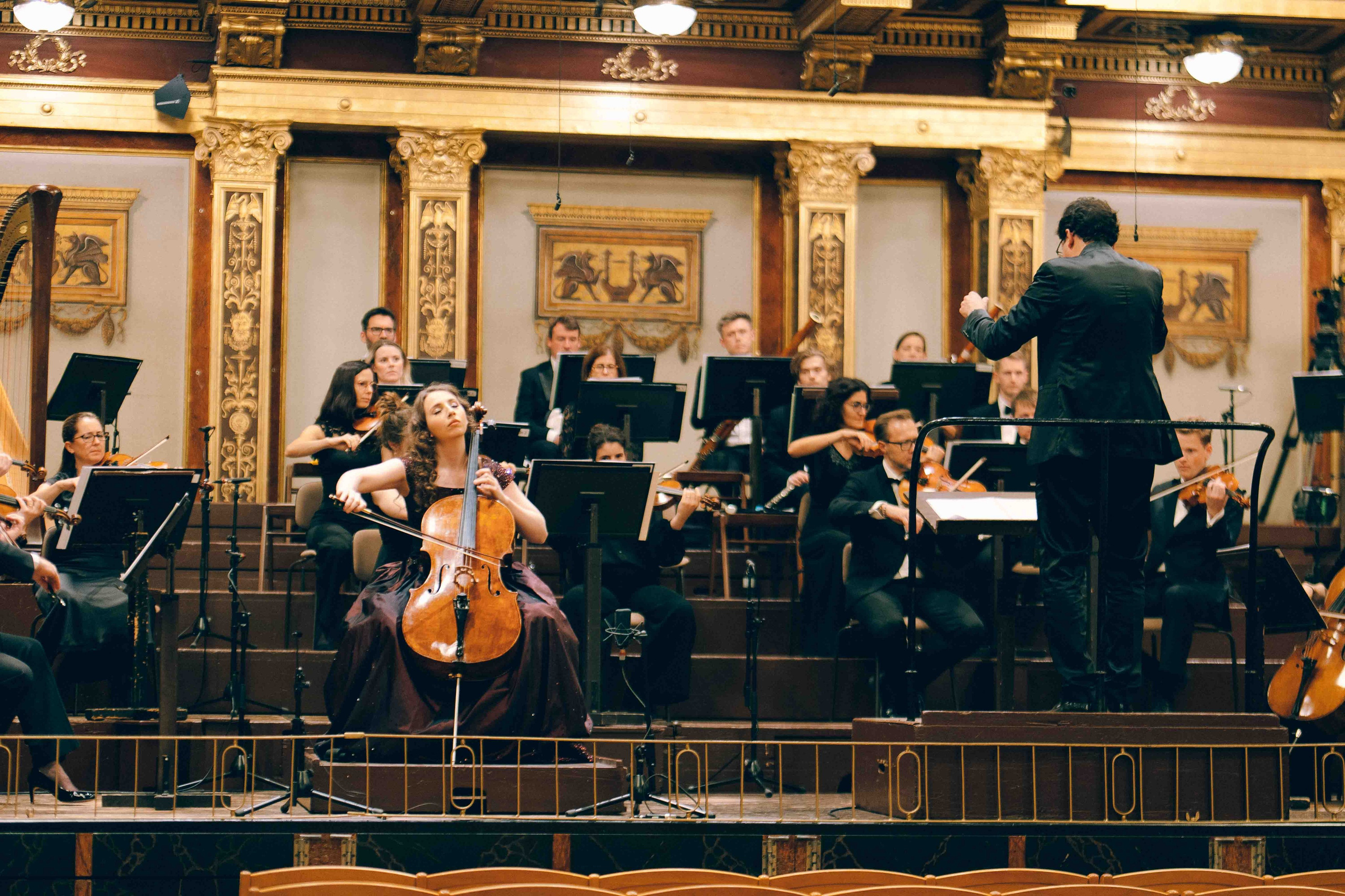 MUSIKVEREIN (VIENNA). Wedding&Event photographer Ismail Rzayev in Baku