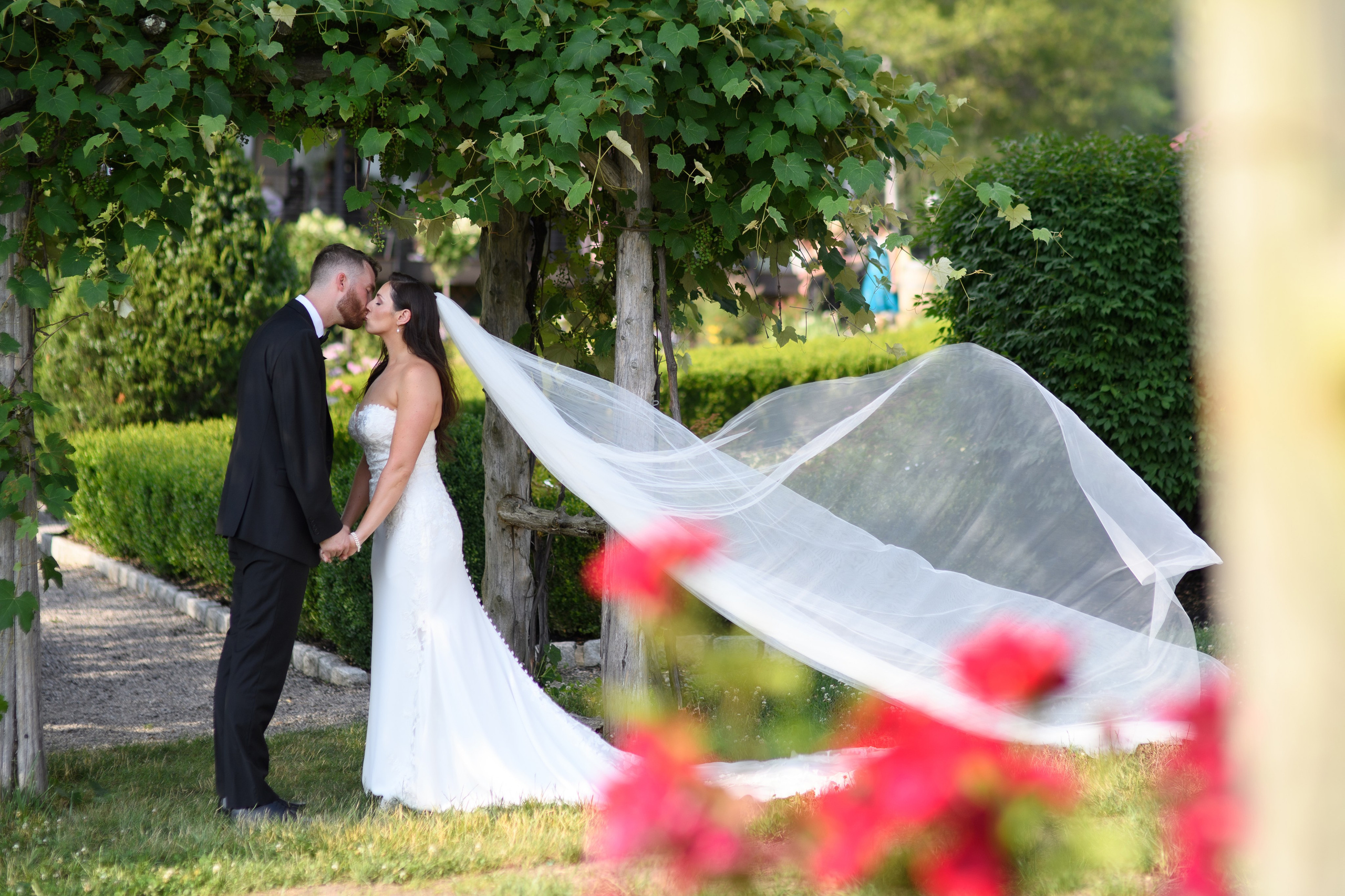 Angelica & Conor. Wedding Photo & Video
