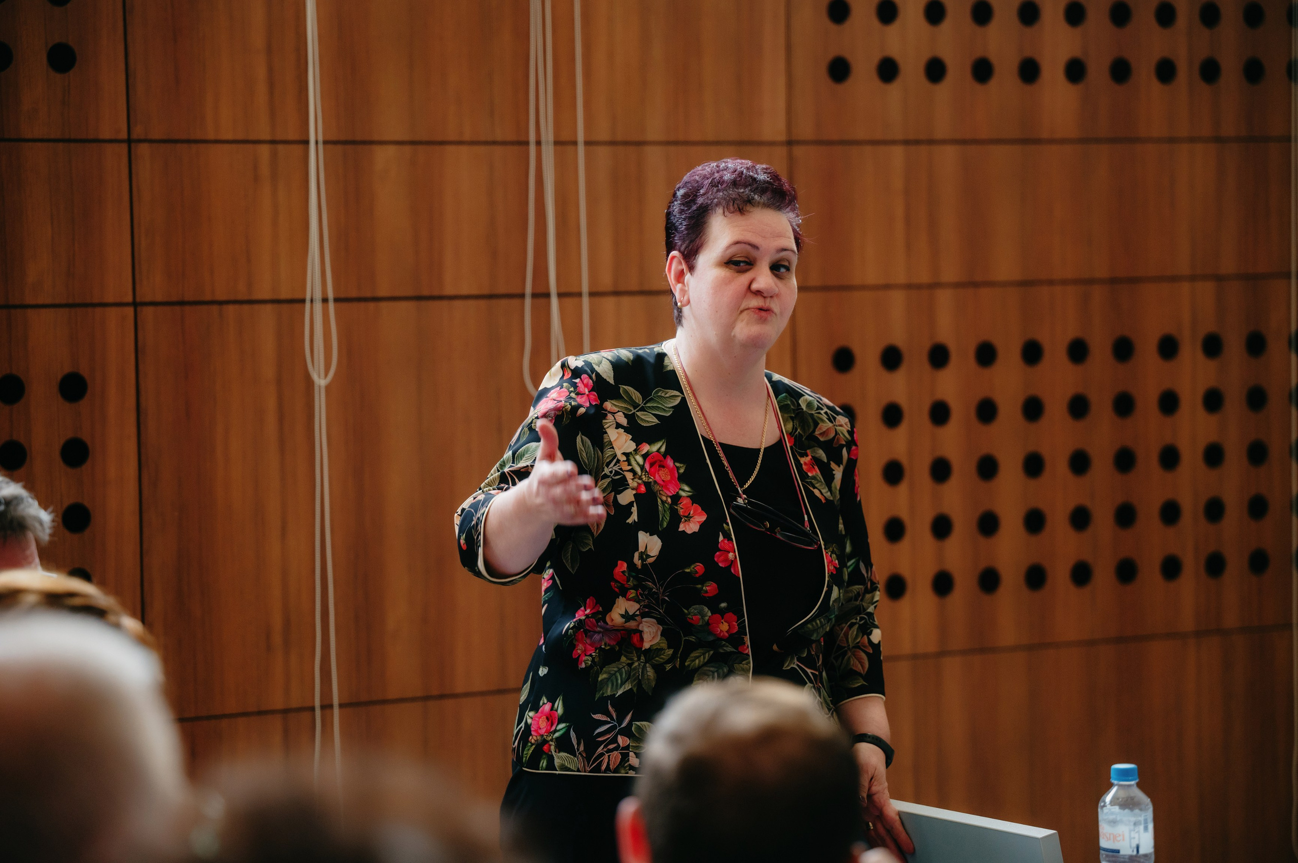 Medicina Veterinara — dupa 30 de ani…. Laurentiu Stefan StoryTeller