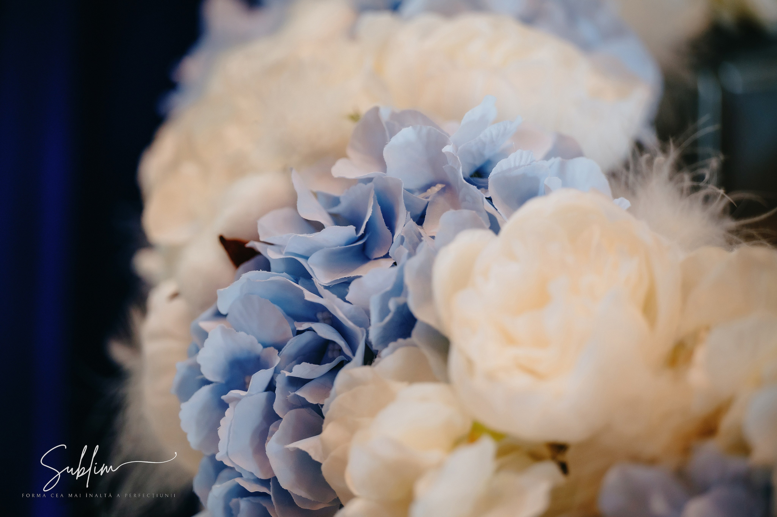 Sublim. Laurentiu Stefan StoryTeller