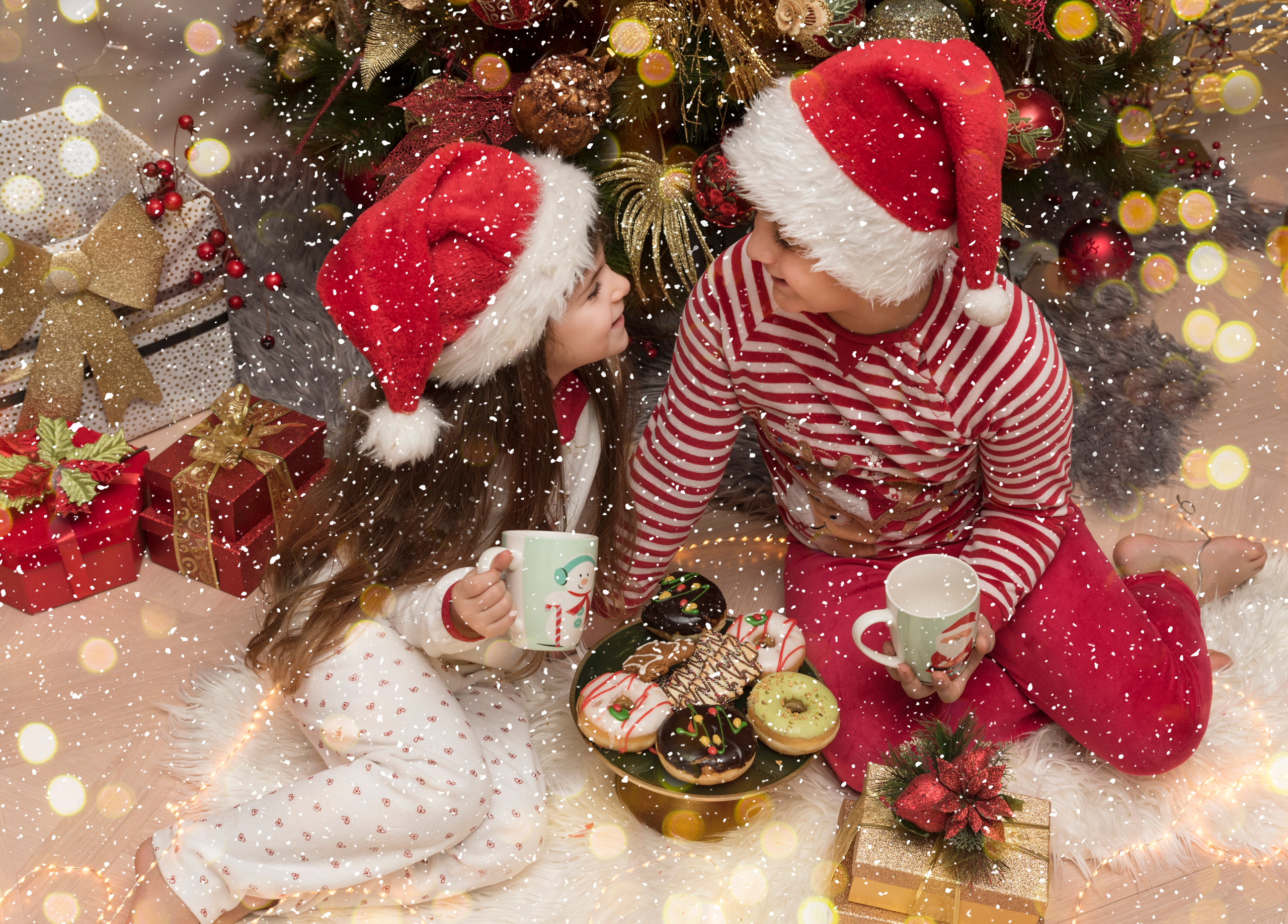 New Year Photoshoot. Professional Photograher, Antwerpen/Belgium