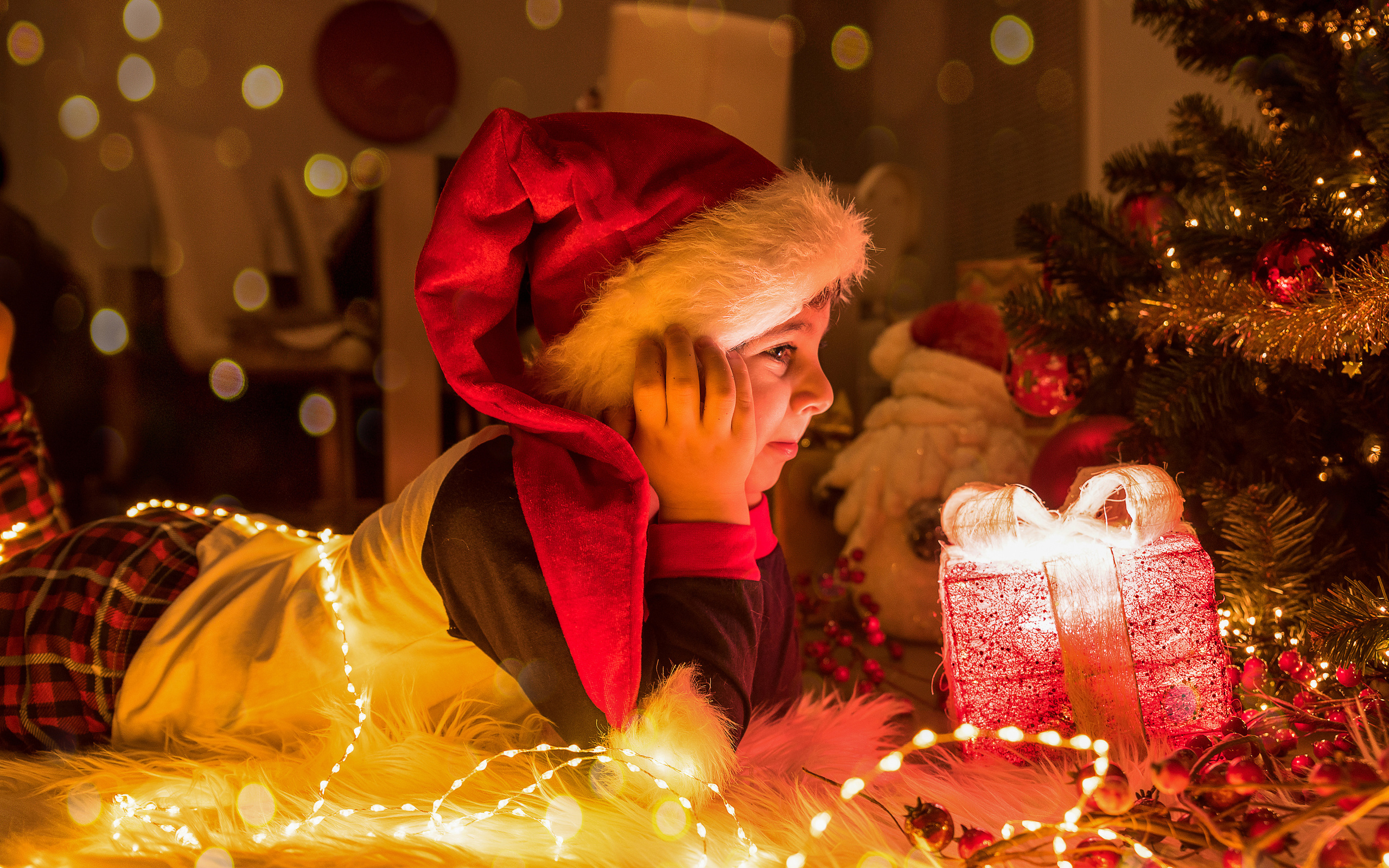 New Year Photoshoot. Professional Photograher, Antwerpen/Belgium