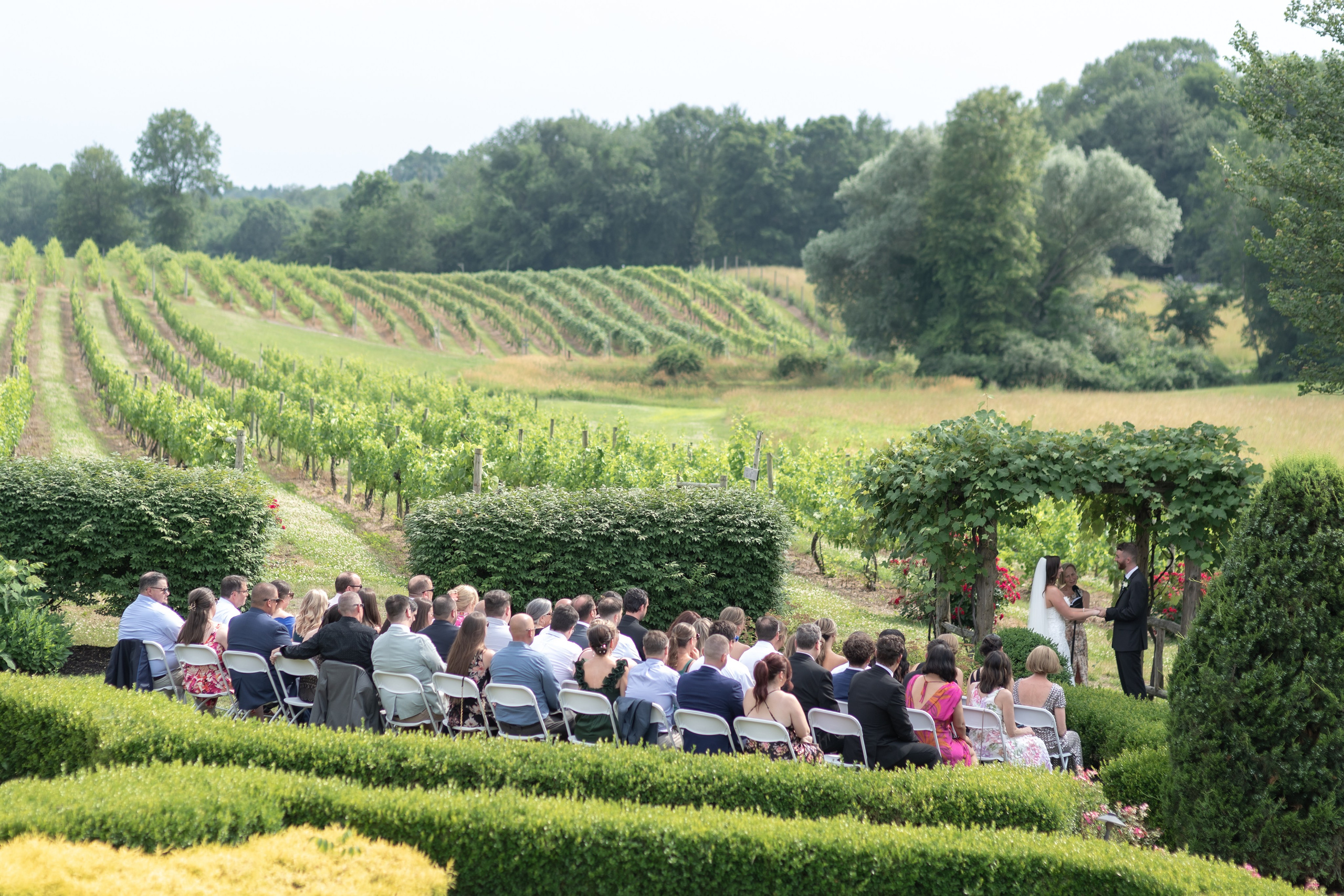 Angelica & Conor. Wedding Photo & Video