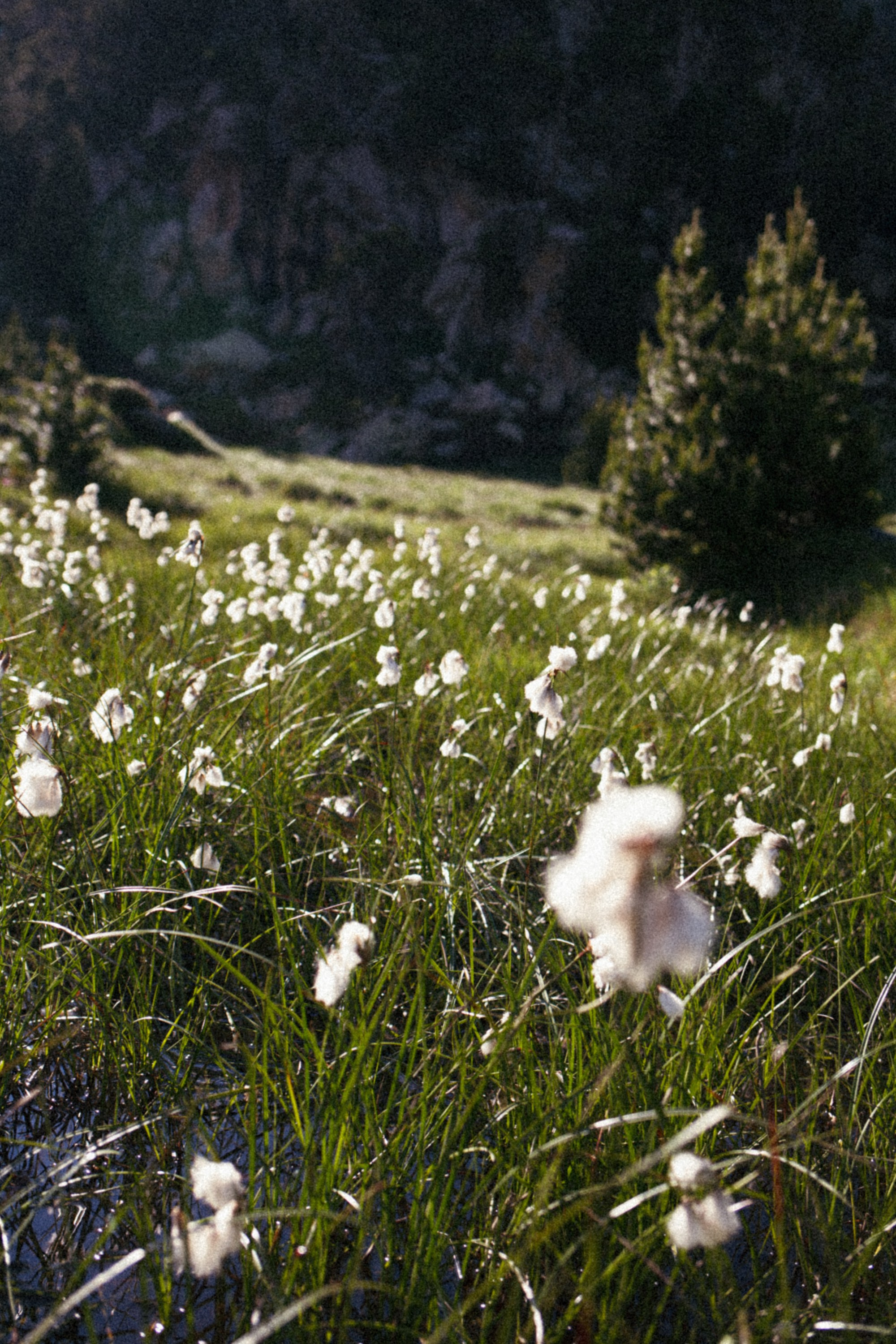 Fotografía del Refugio JM Blanc – Valle de Peguera, Pirineos. Marina Kálcheva – Photographer & Visual Artist in Barcelona
