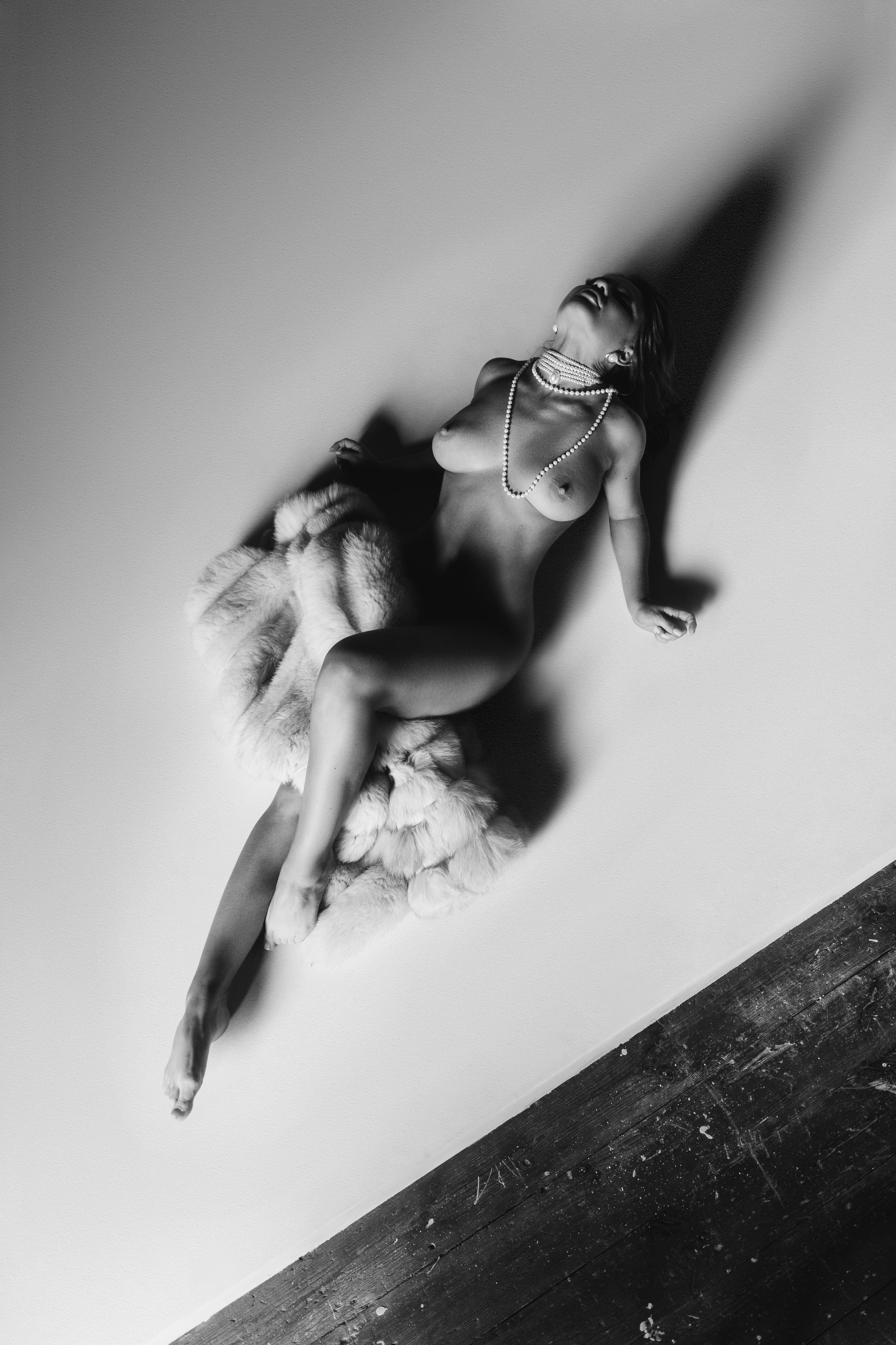 Fine Art. Mike Avelli