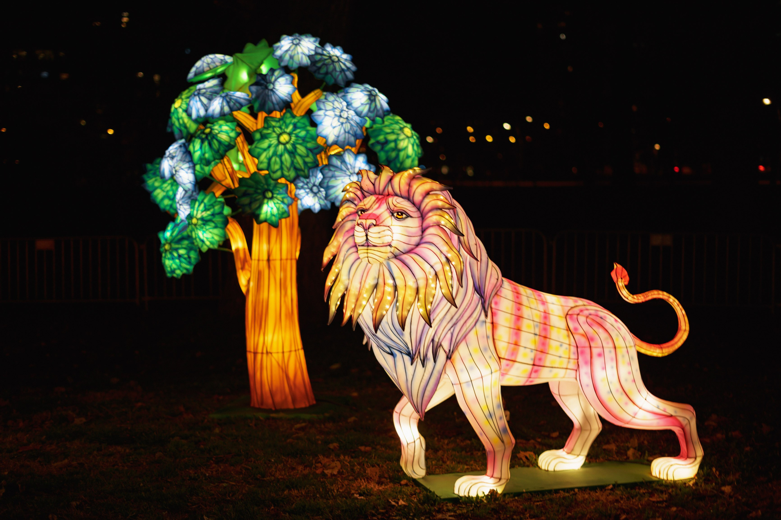 Svecano otvaranje Kineskog festivala svetla u Novom Sadu. Žukov Studio