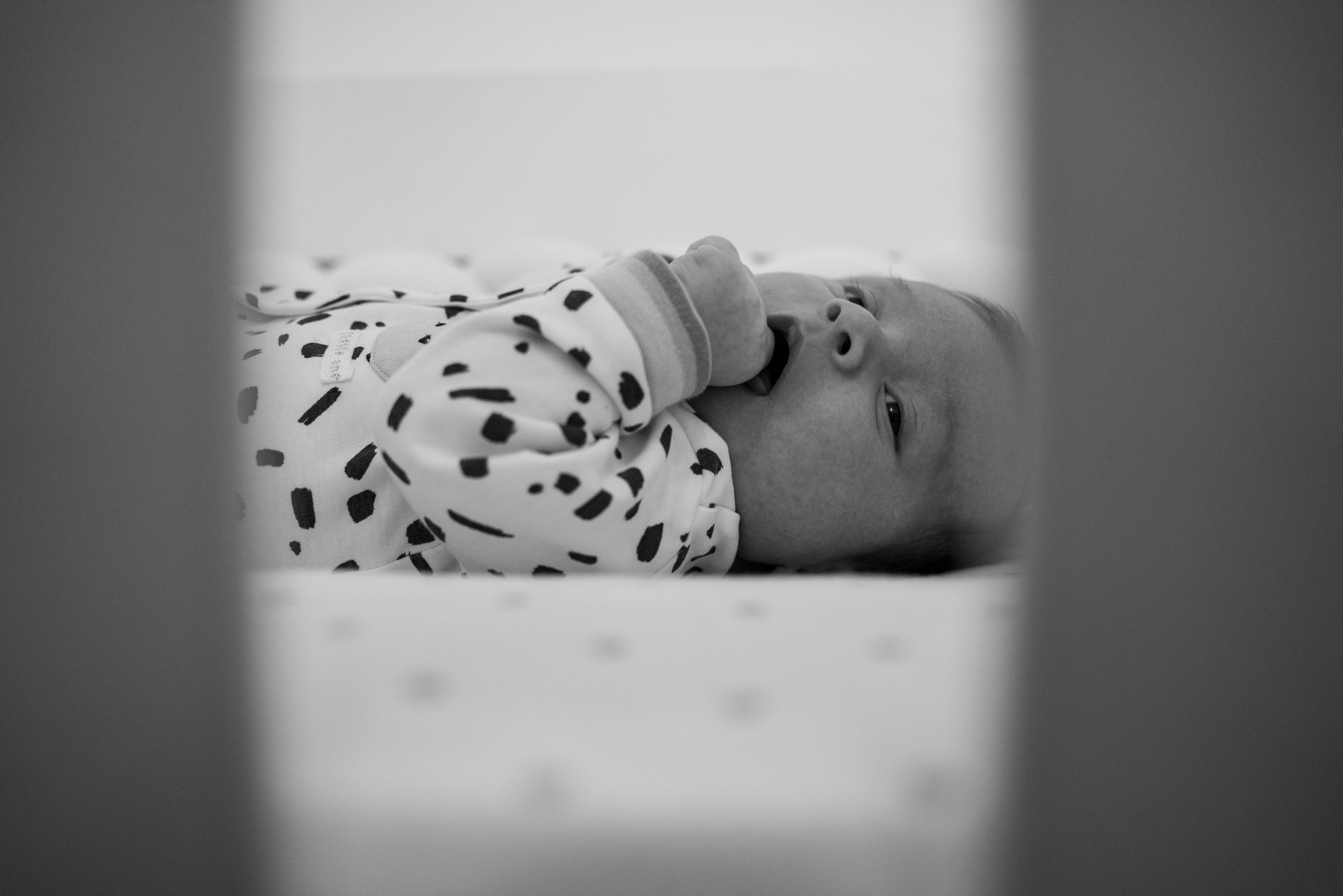 Luca Nectarie. B|P Weddings - Fotograf & Videograf - București||0730017811