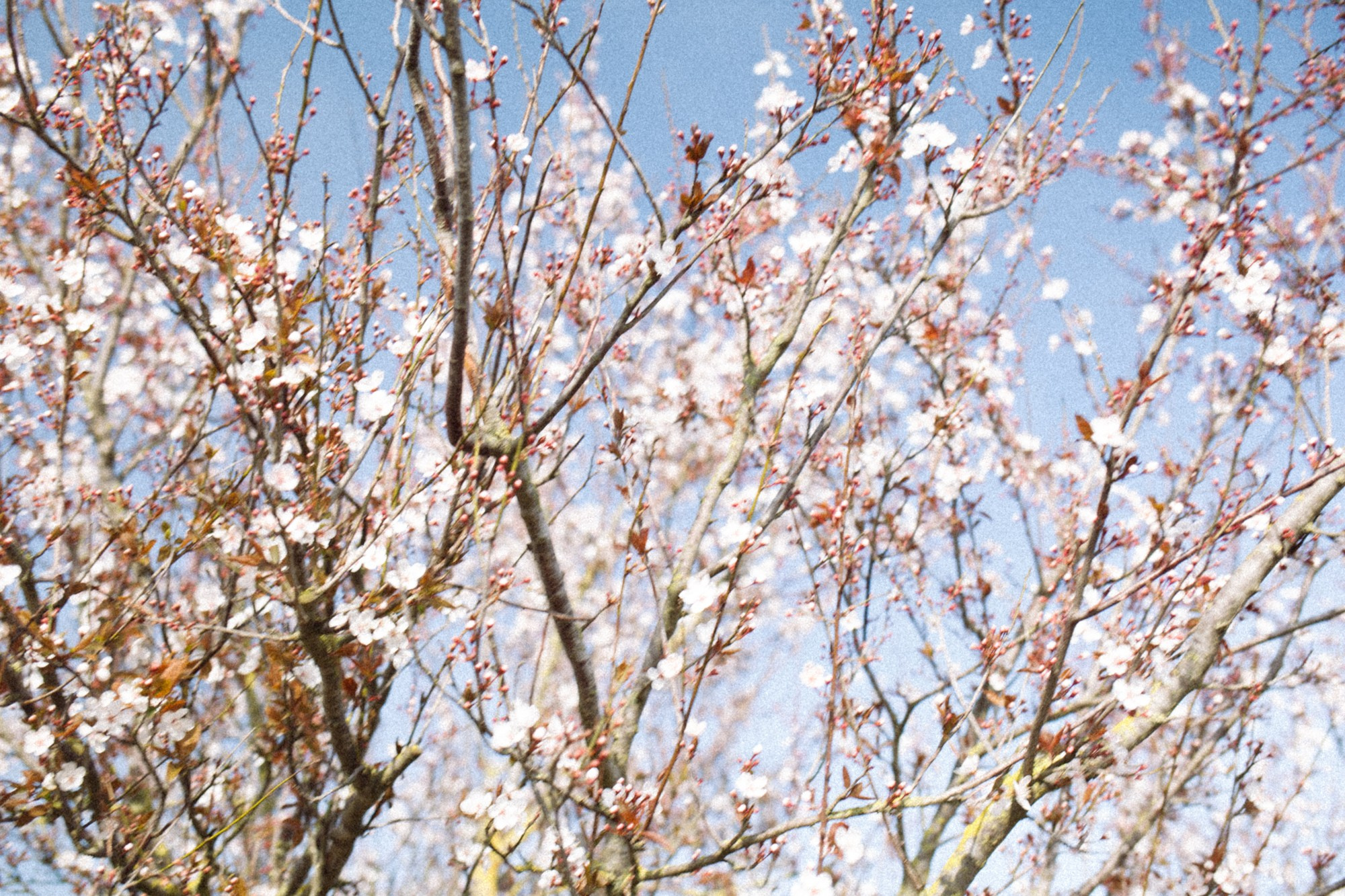 TRIP TO THE MOUNTAINS. Marina Kálcheva – Photographer & Visual Artist in Barcelona