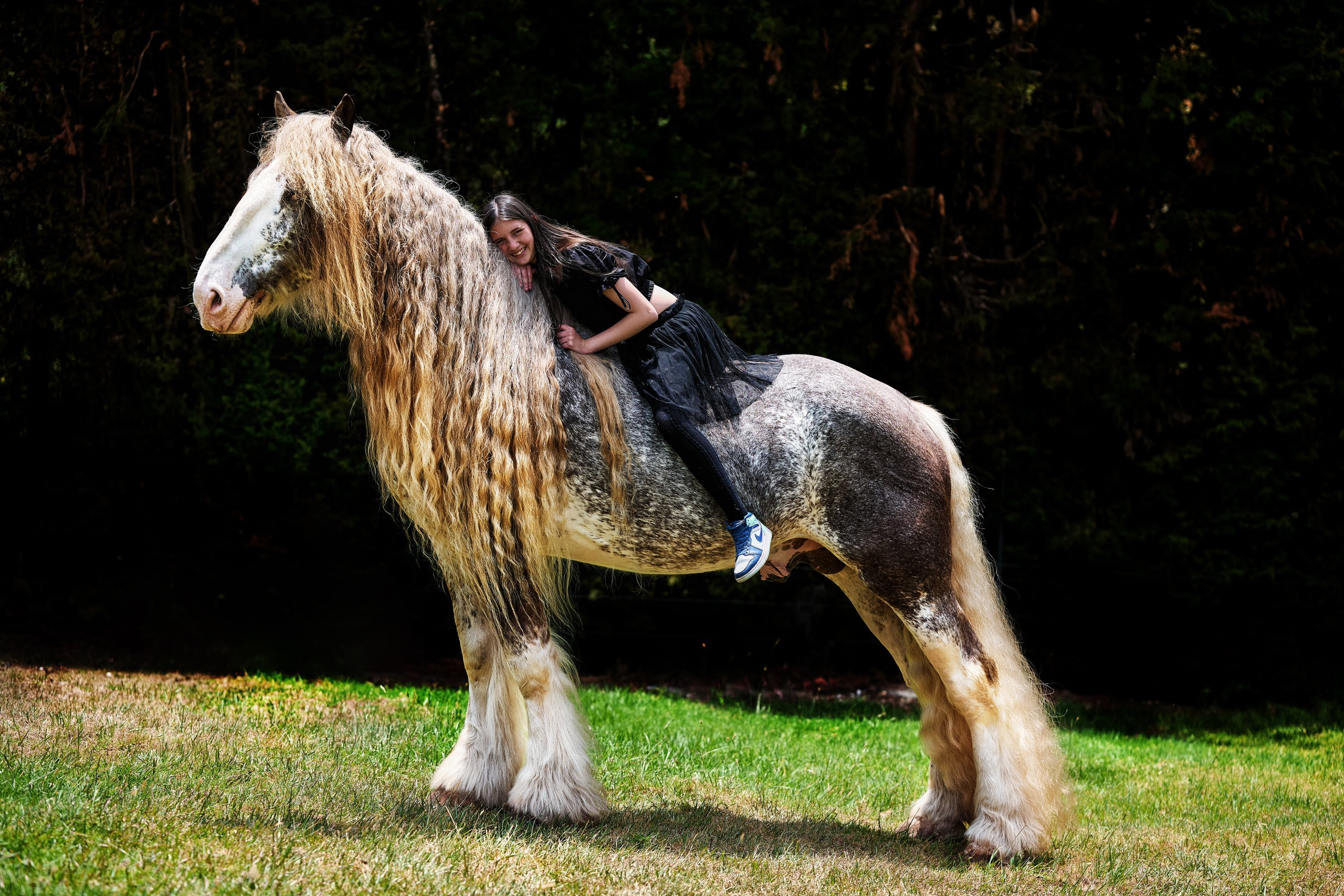 Fotos Con caballos para Quiceaños. Wedding Photography & Videography by ZZ Hendrick | Capturing Your Love Story in Colombia & USA