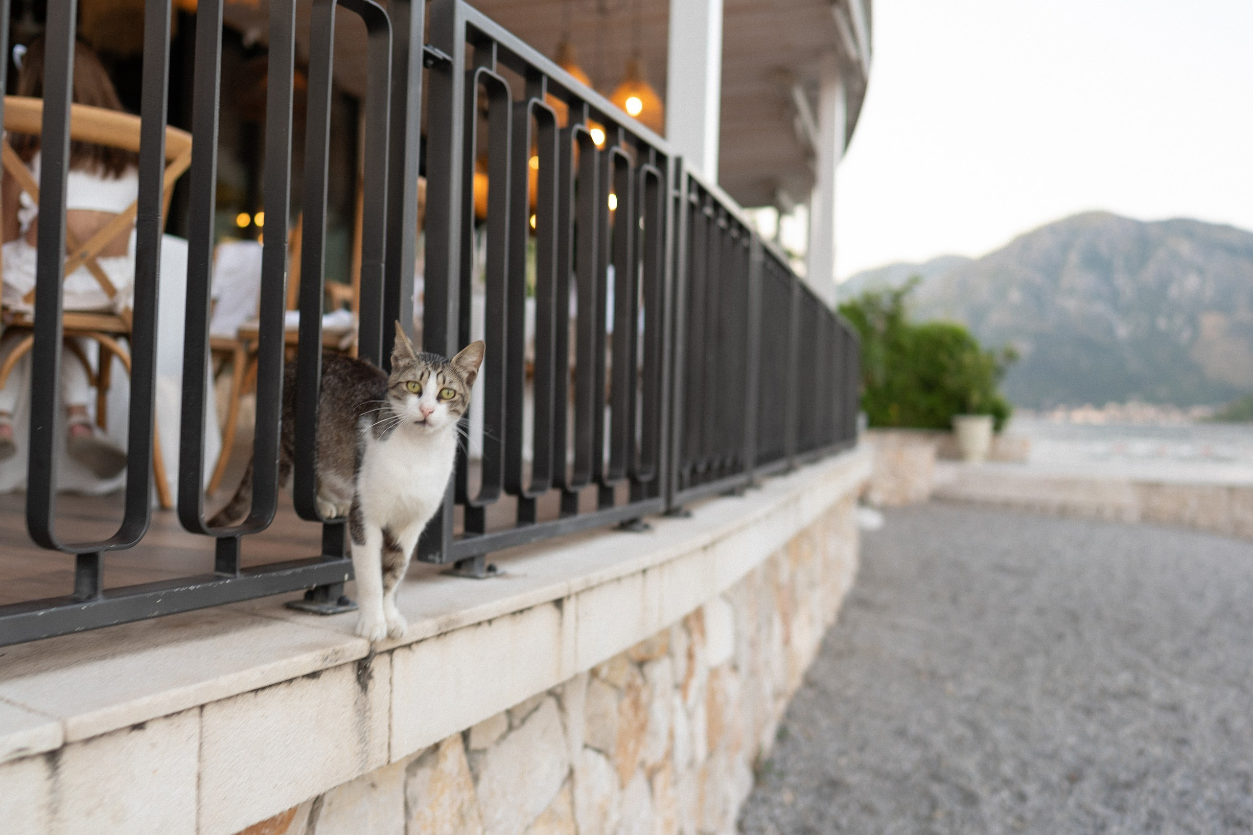 Casa del Mare: trouwhotel aan de Baai van Kotor, Montenegro