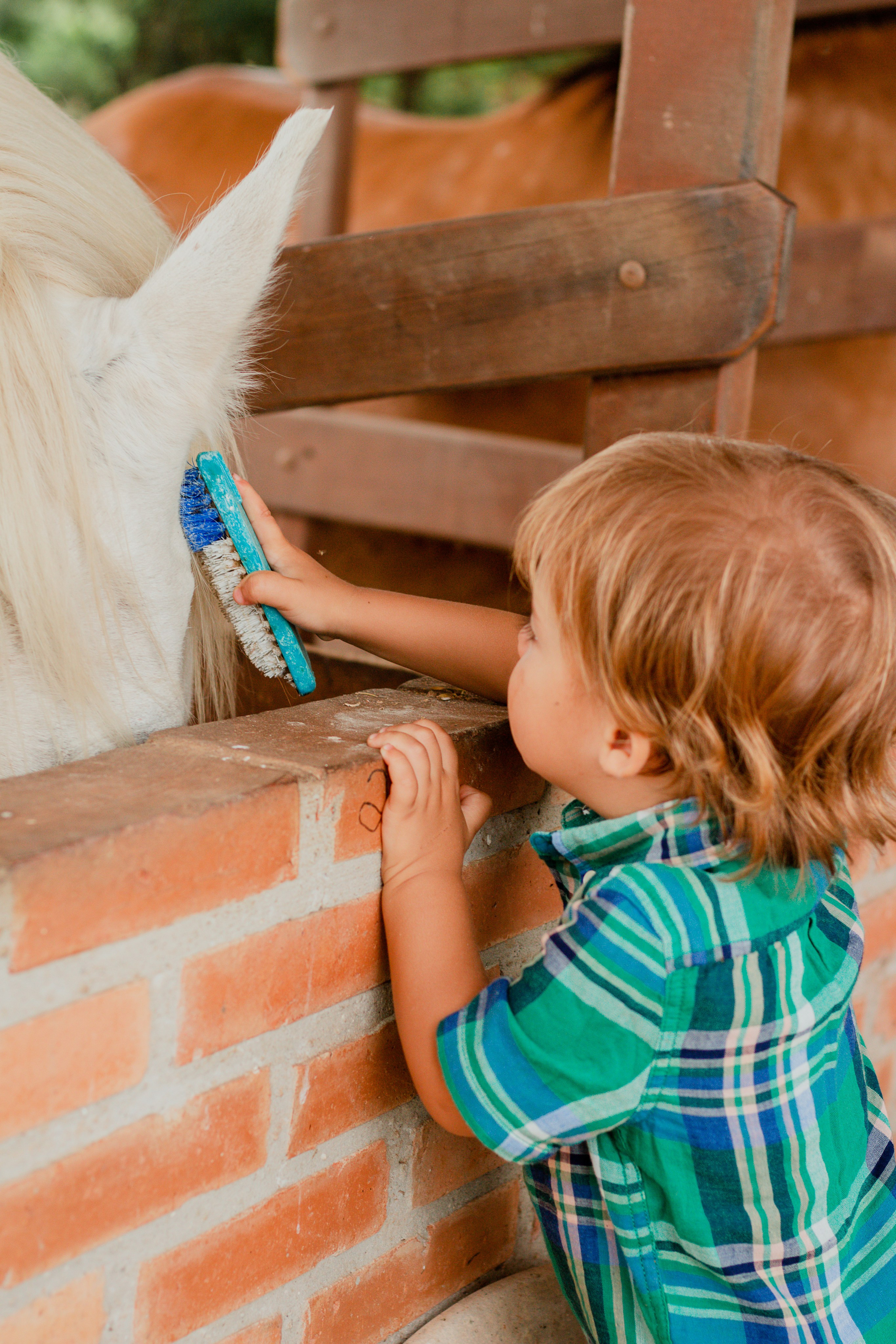 Fotografia de Aniversário Infantil em Holambra – Theo, 2 anos | Joyce Maria. Joyce Maria Fotografia | Fotógrafa em Holambra