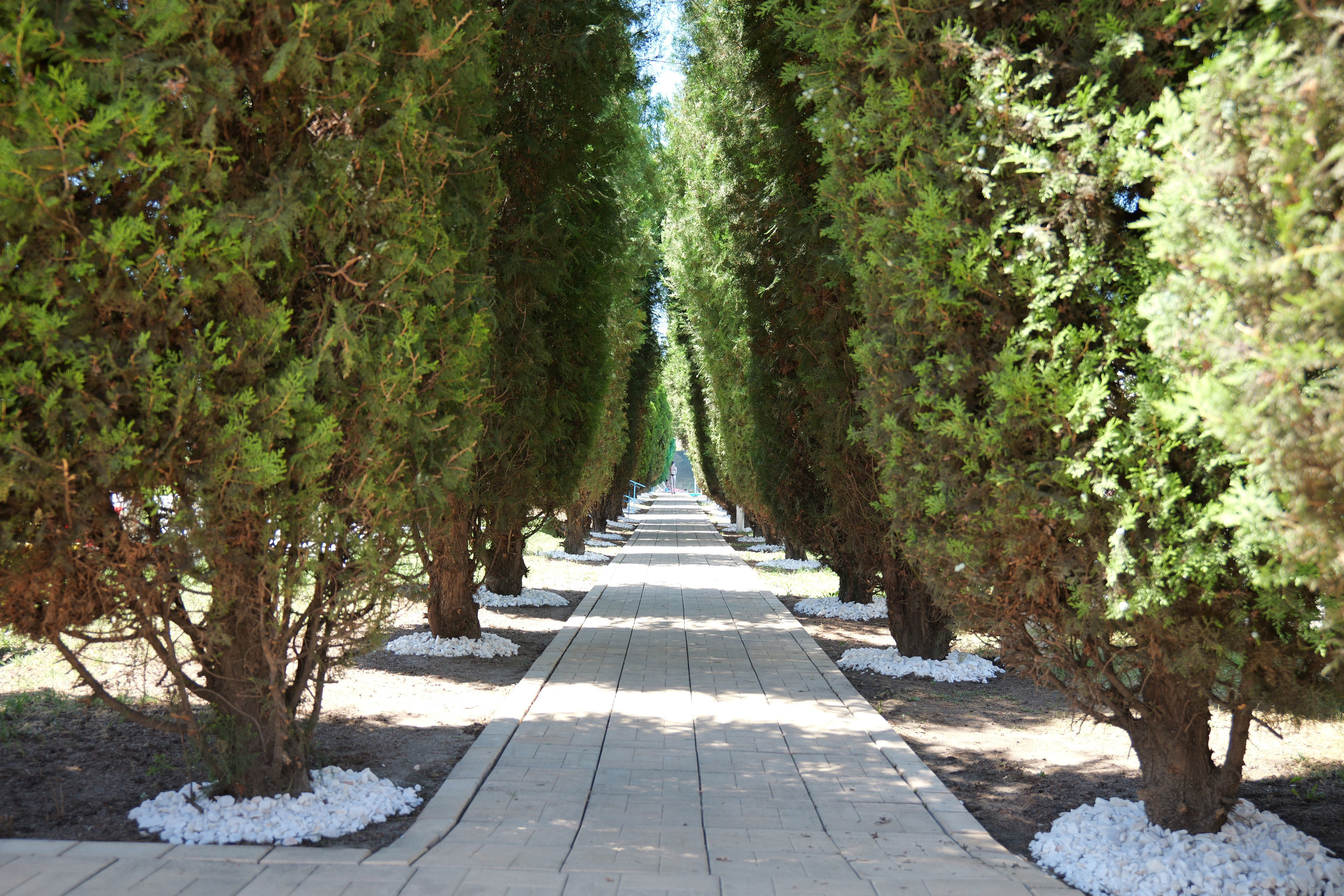 ȘTRAND DEVA — DESCHIDERE. Freesh Media Products