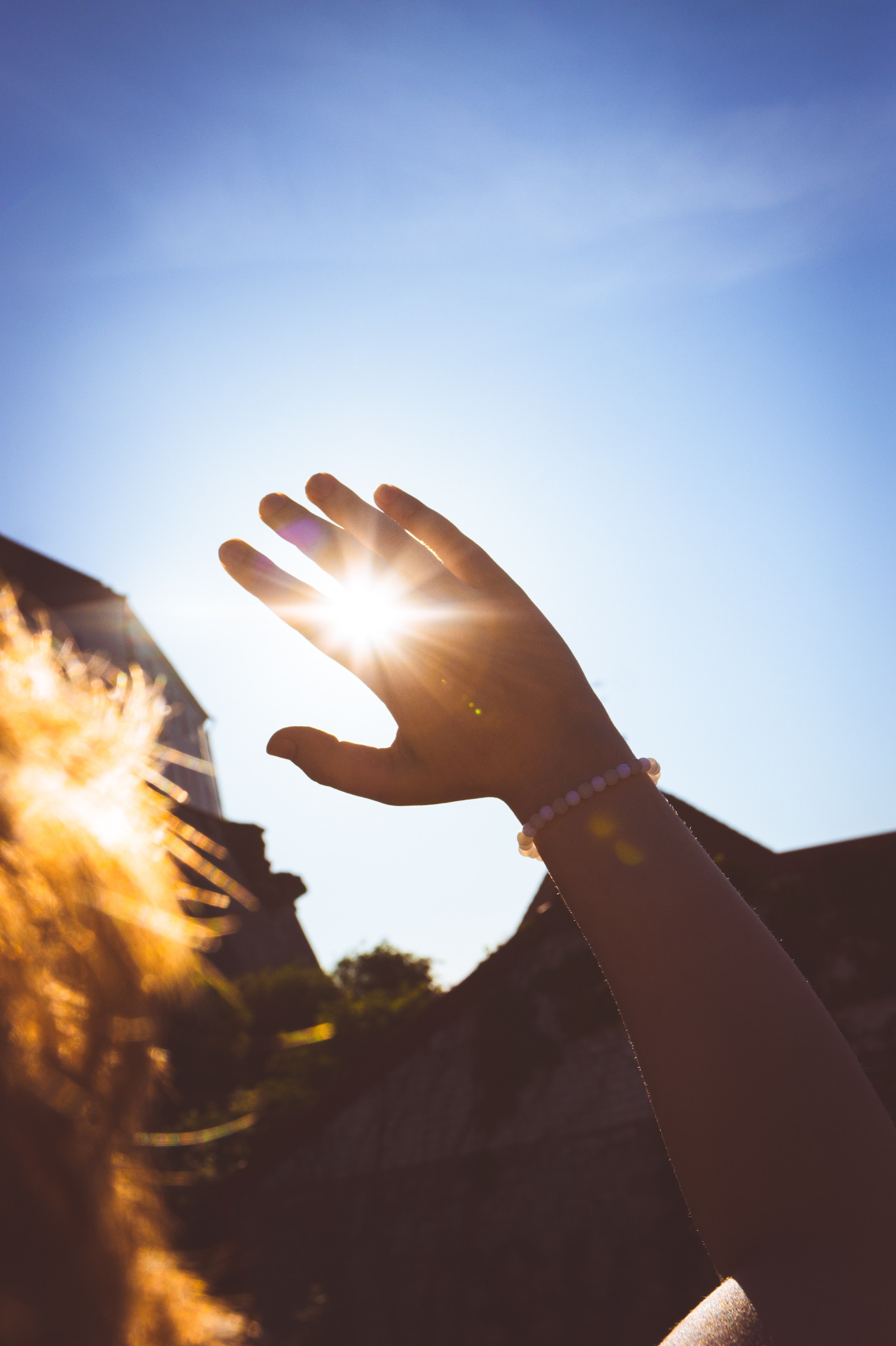 Lahe graatsia (Sonja). Nebula 25 — Fotod teie hingele