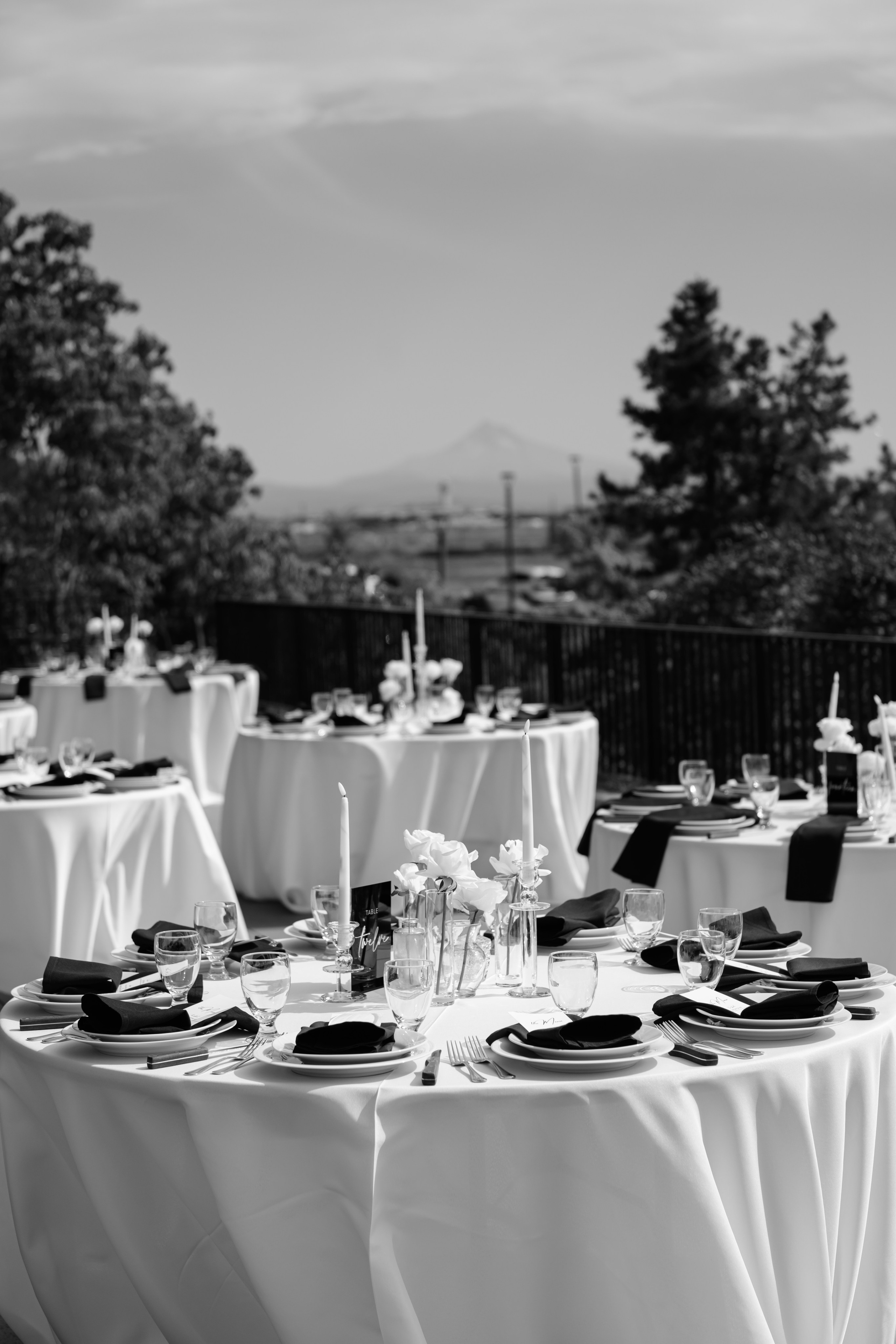 M&Z. Alena Tau | Wedding & Family Photographer Vancouver WA and Portland OR
