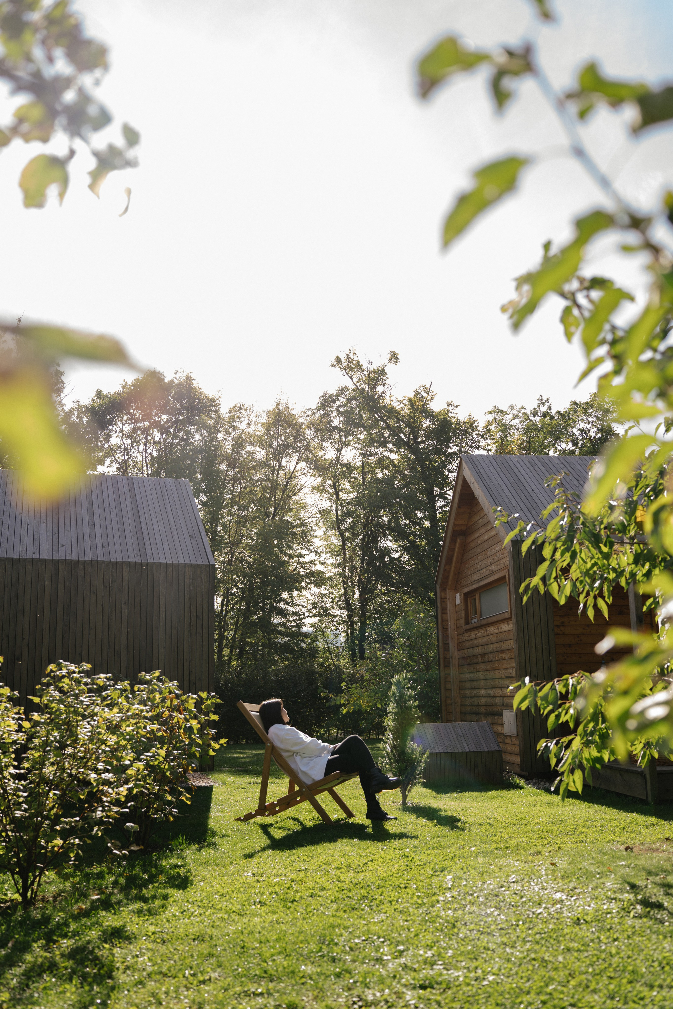 Mood. Patricia Morenci — Mountain Adventures for the Wild at Heart