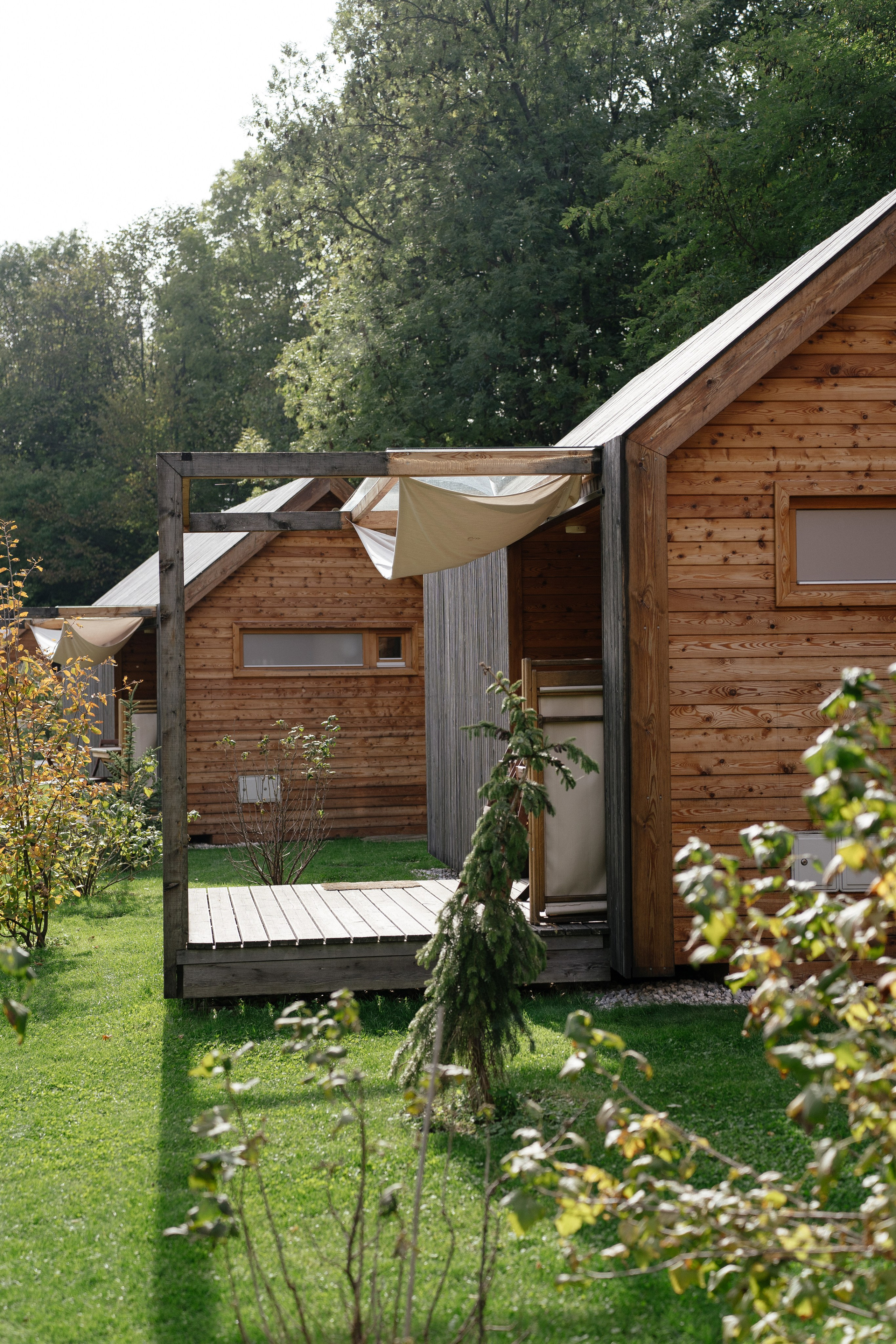 Airbnb. Patricia Morenci — Mountain Adventures for the Wild at Heart