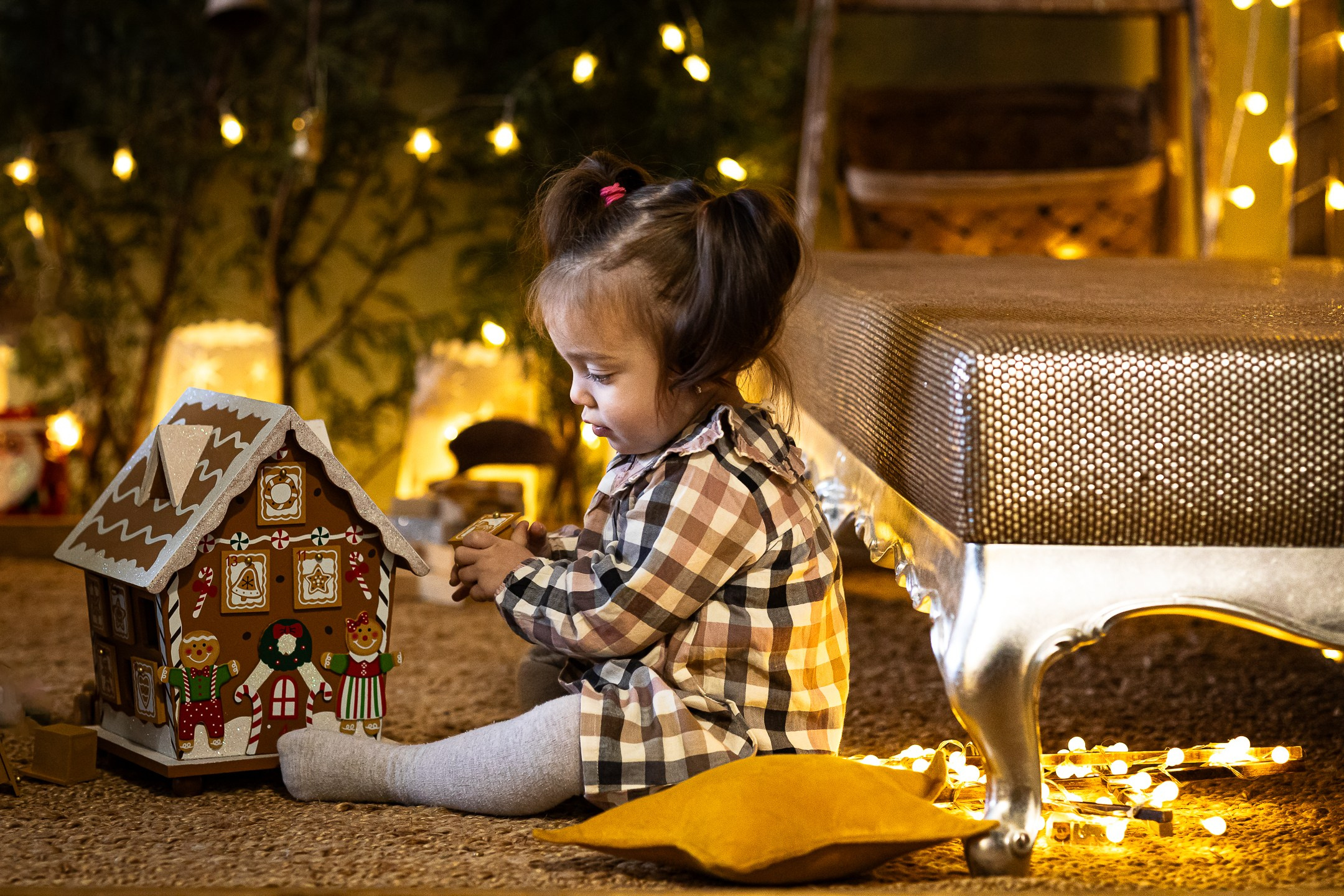 Profesionalno novogodisnje fotografisanje