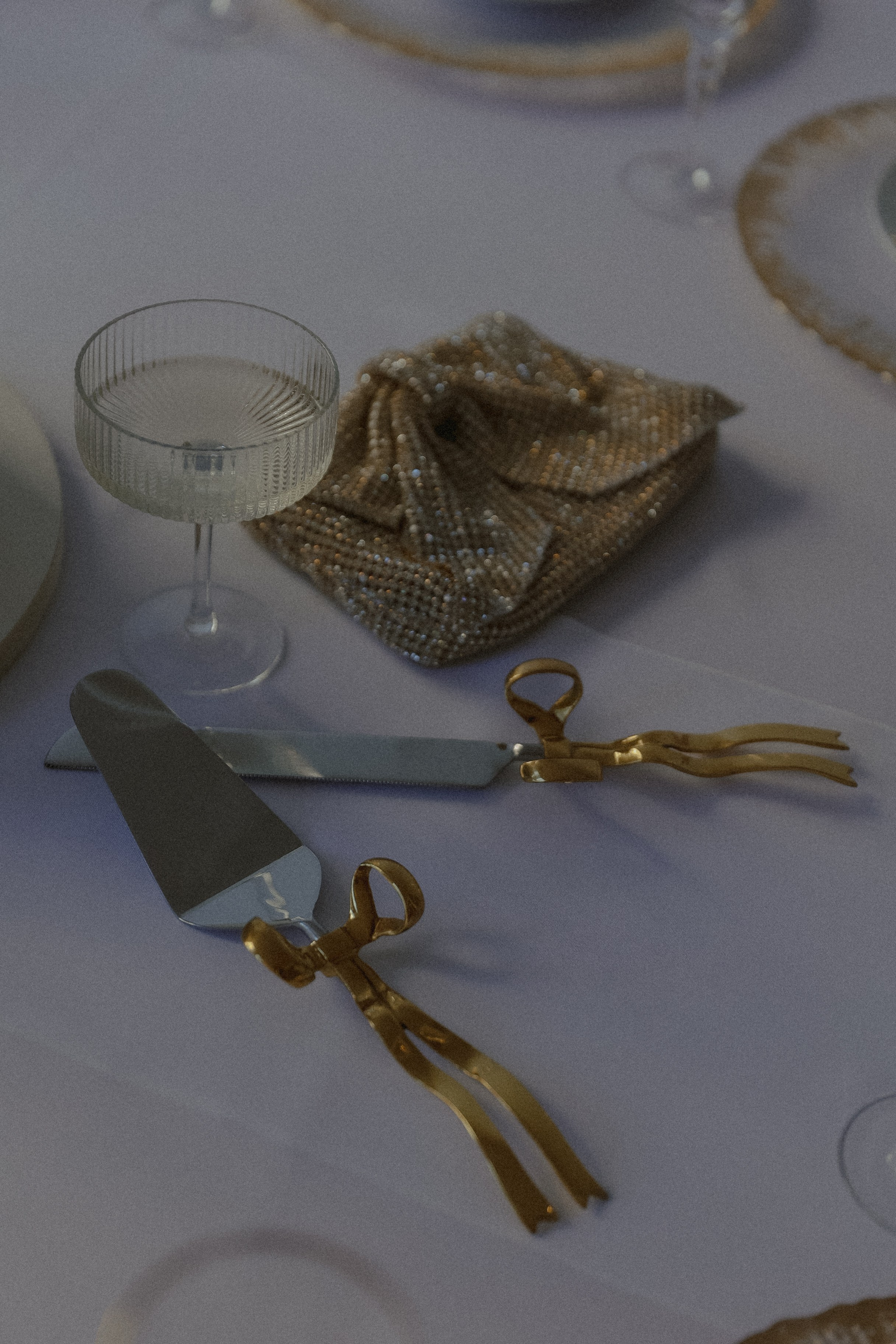 Noelle&Brady. Couple photographer in Chicago