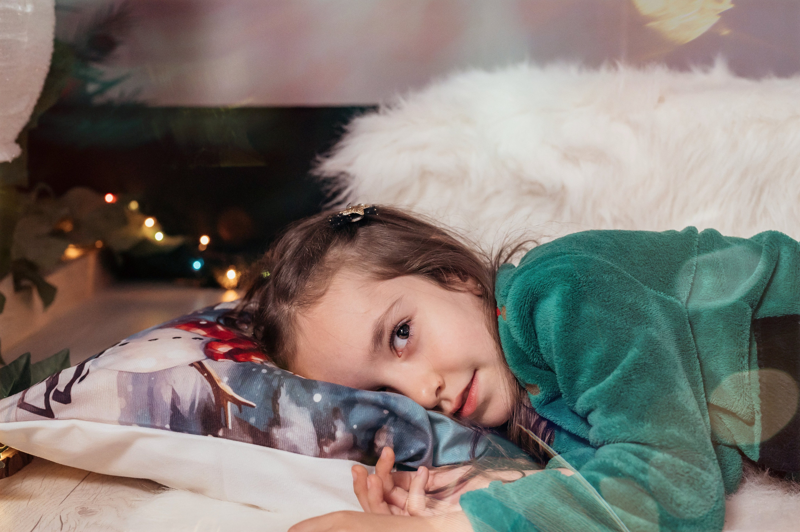 Sedinta Craciun Sofia