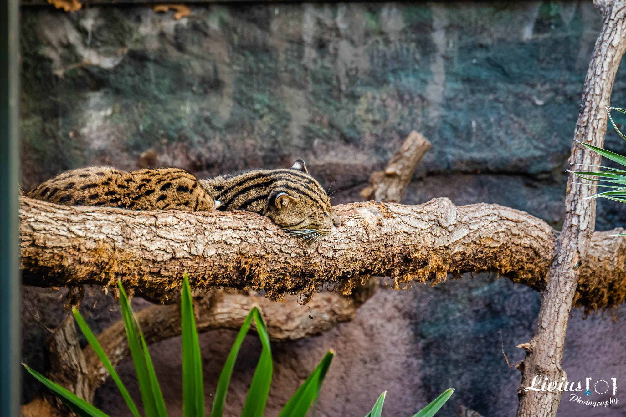 Tierpark Nürnberg. FOTO KREATIV
