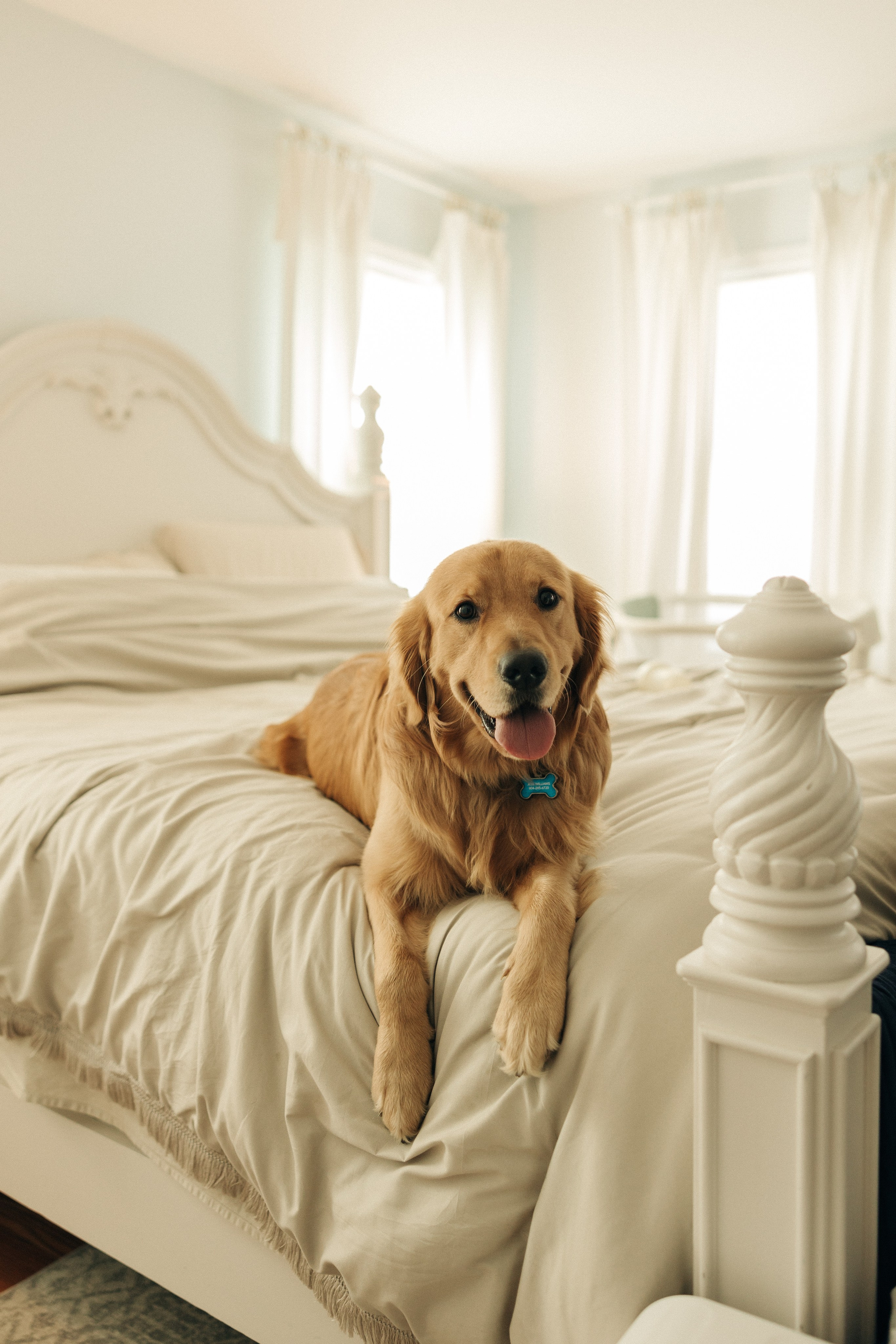 The Williams. Sara Eulalia | Virginia Photographer