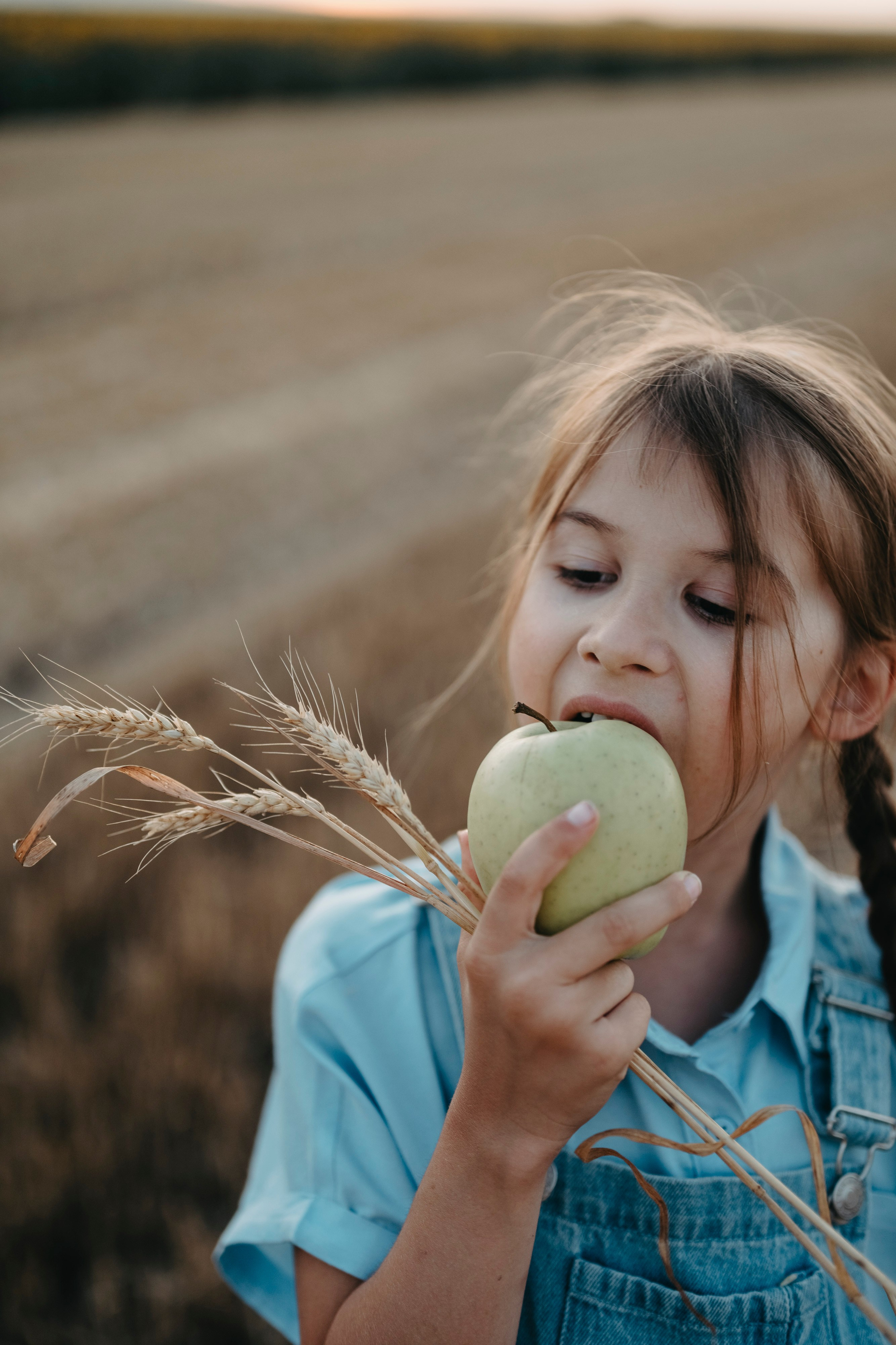 Letnje fotografisanje u polju suncokreta i sena. Deciji i porodicni fotograf u Beogradu Oksana Skendzic