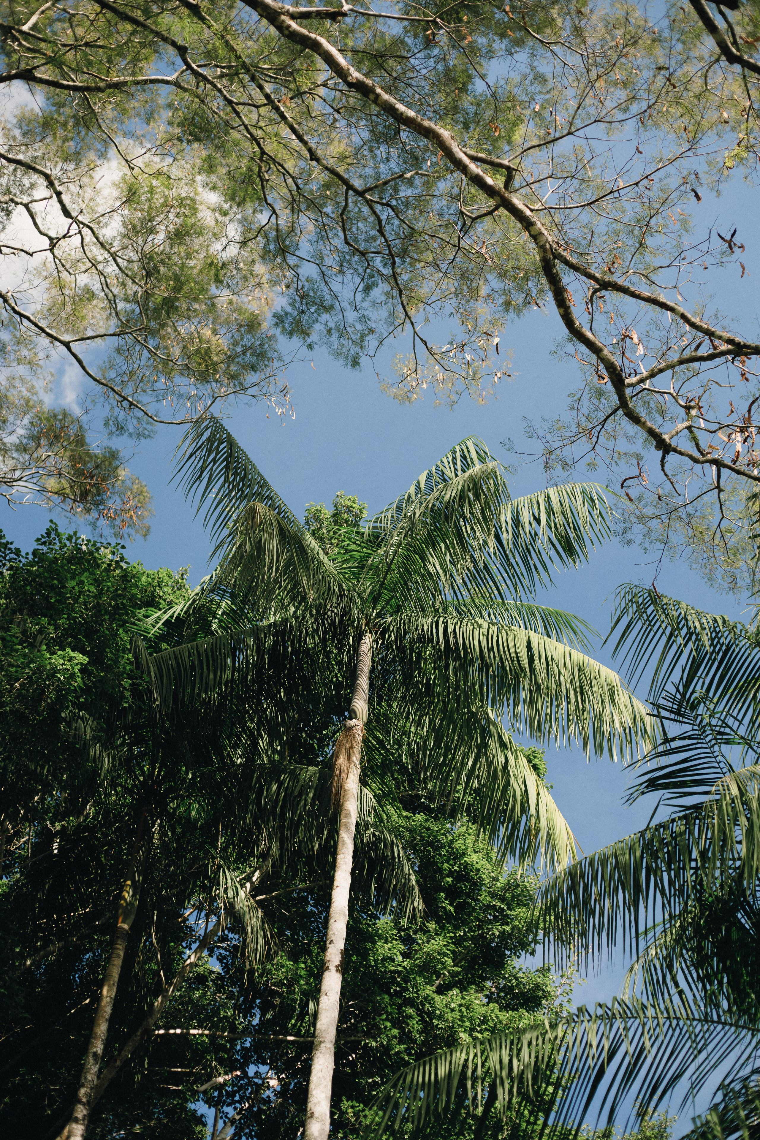 2025 | Beatriz e Lucas — Making Of. Denis Damasceno | Fotografia