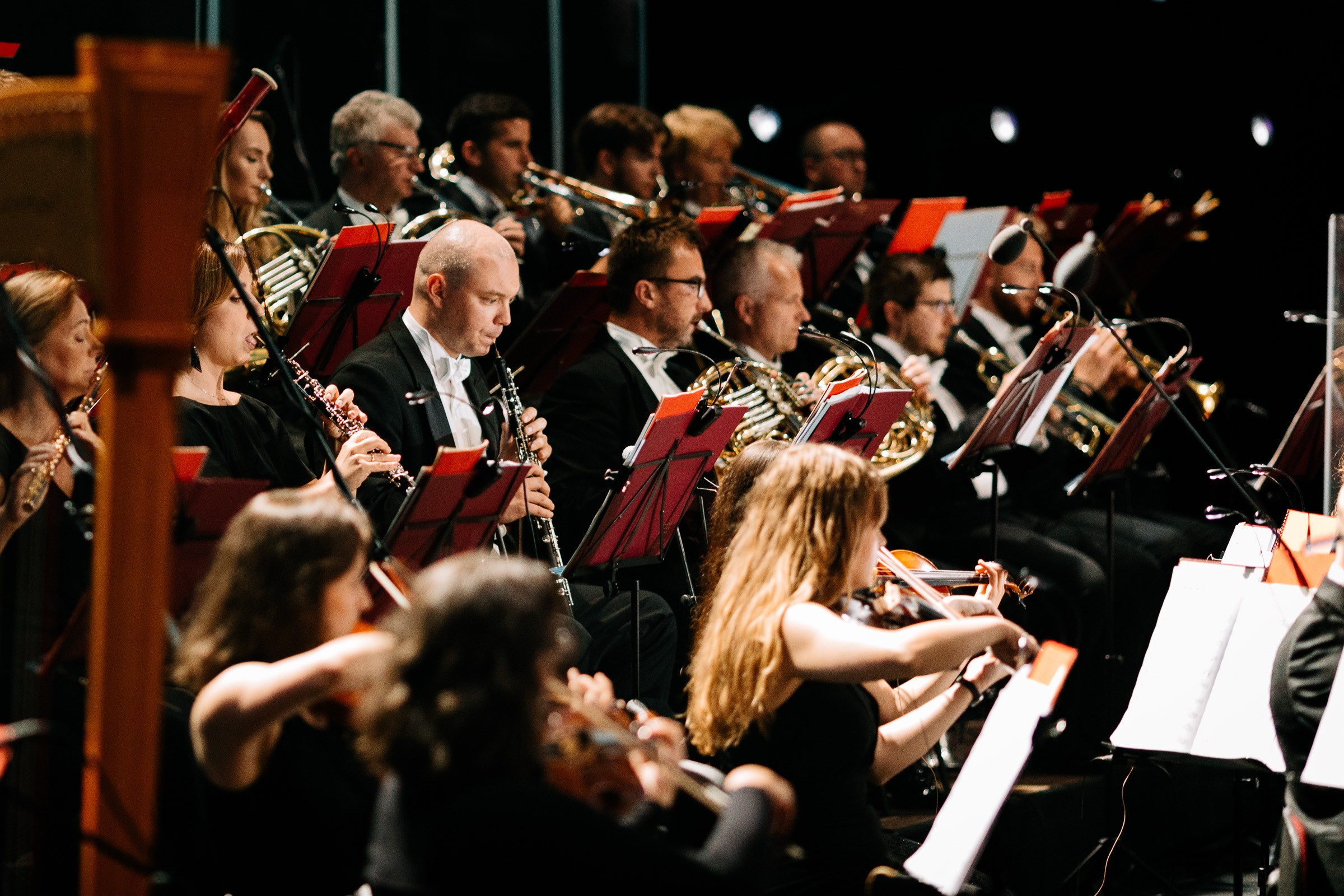 Opera Leśna Koncert. Fotograf Ślubny Warszawa - Sesje Biznesowe Rodzinne Eventy