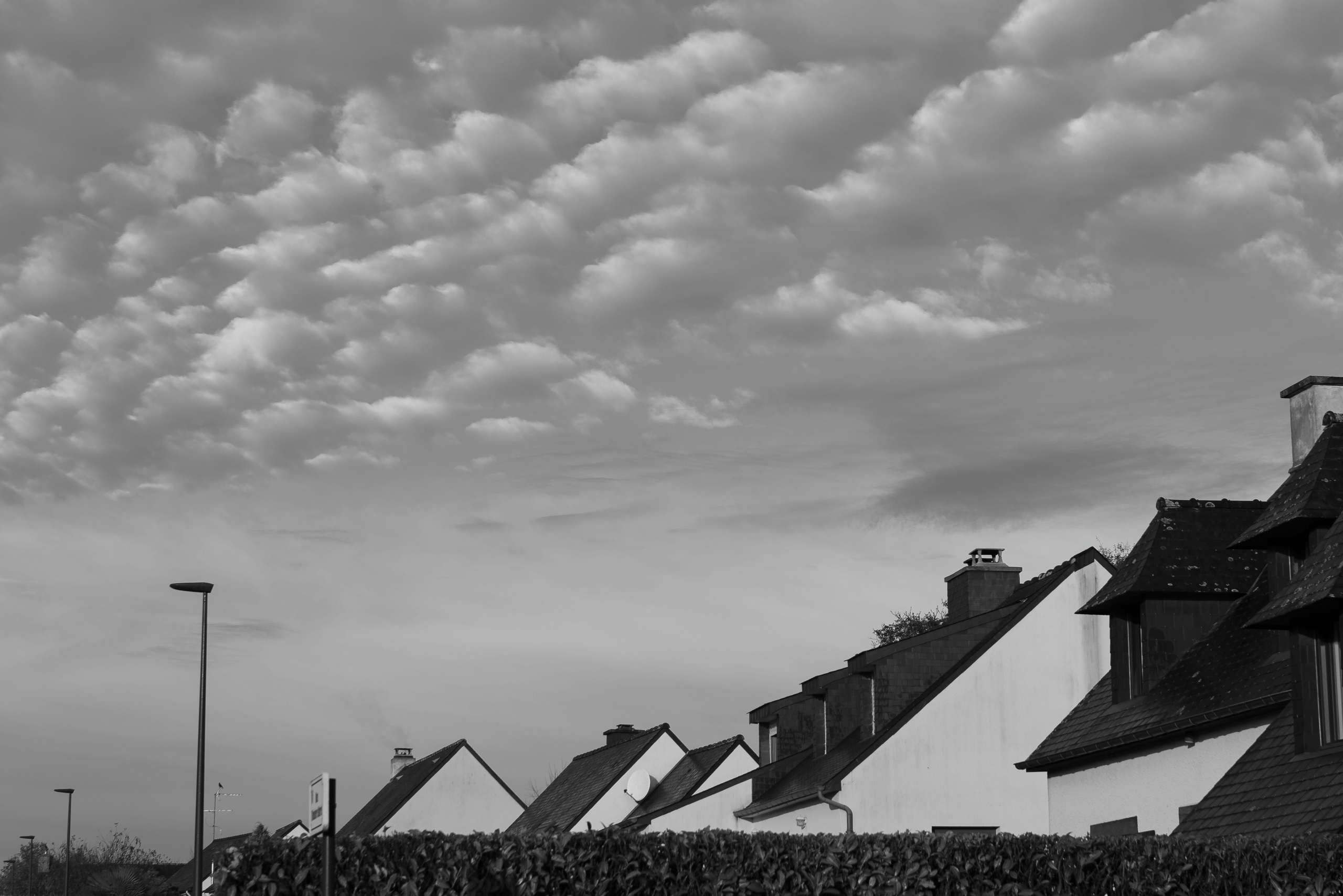 Paysages. Portrais créatifs de familles et individuels, Ile et Vilaine, France