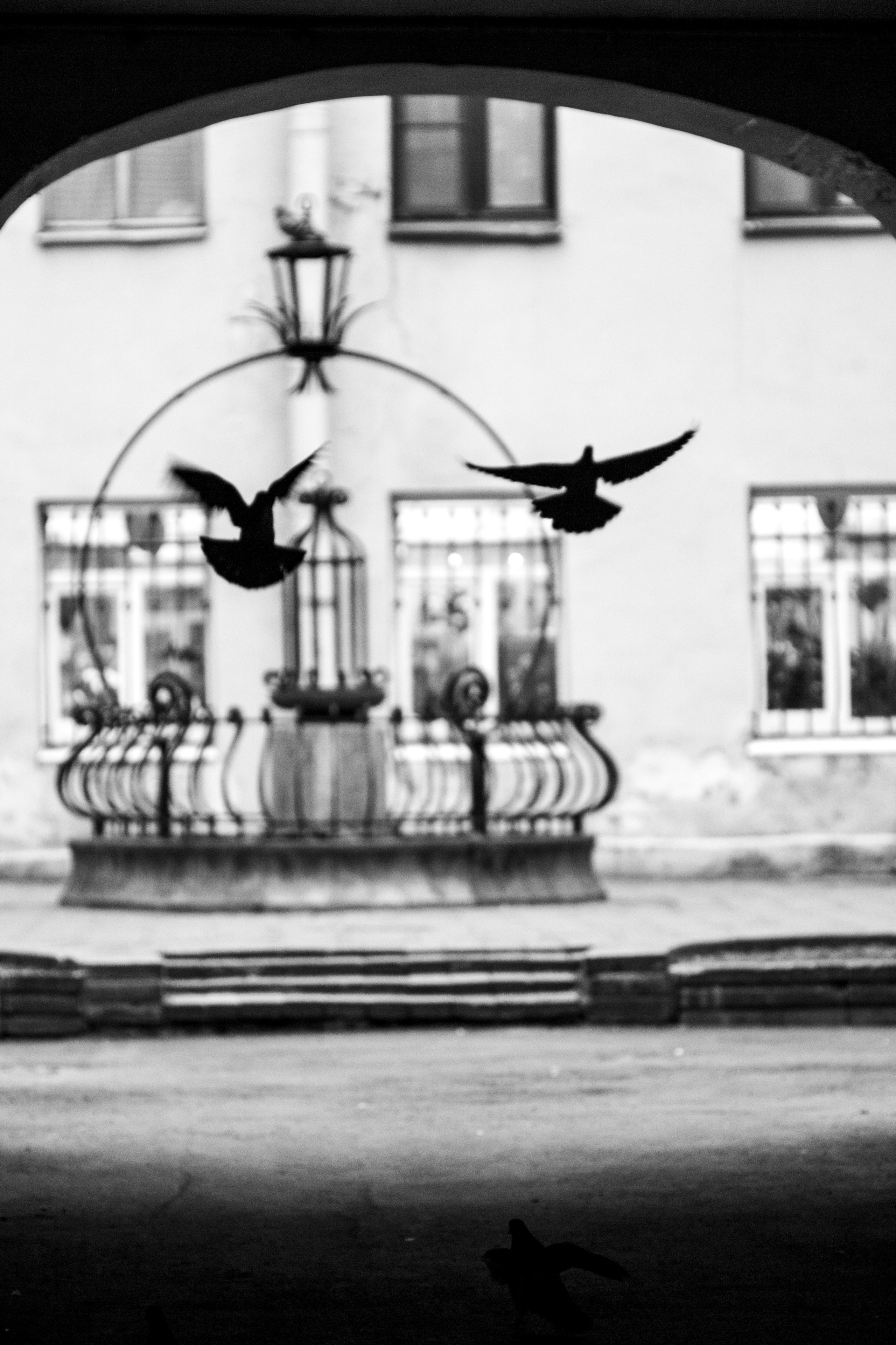 Работы учеников. Фотограф и преподаватель фотографии в Белграде