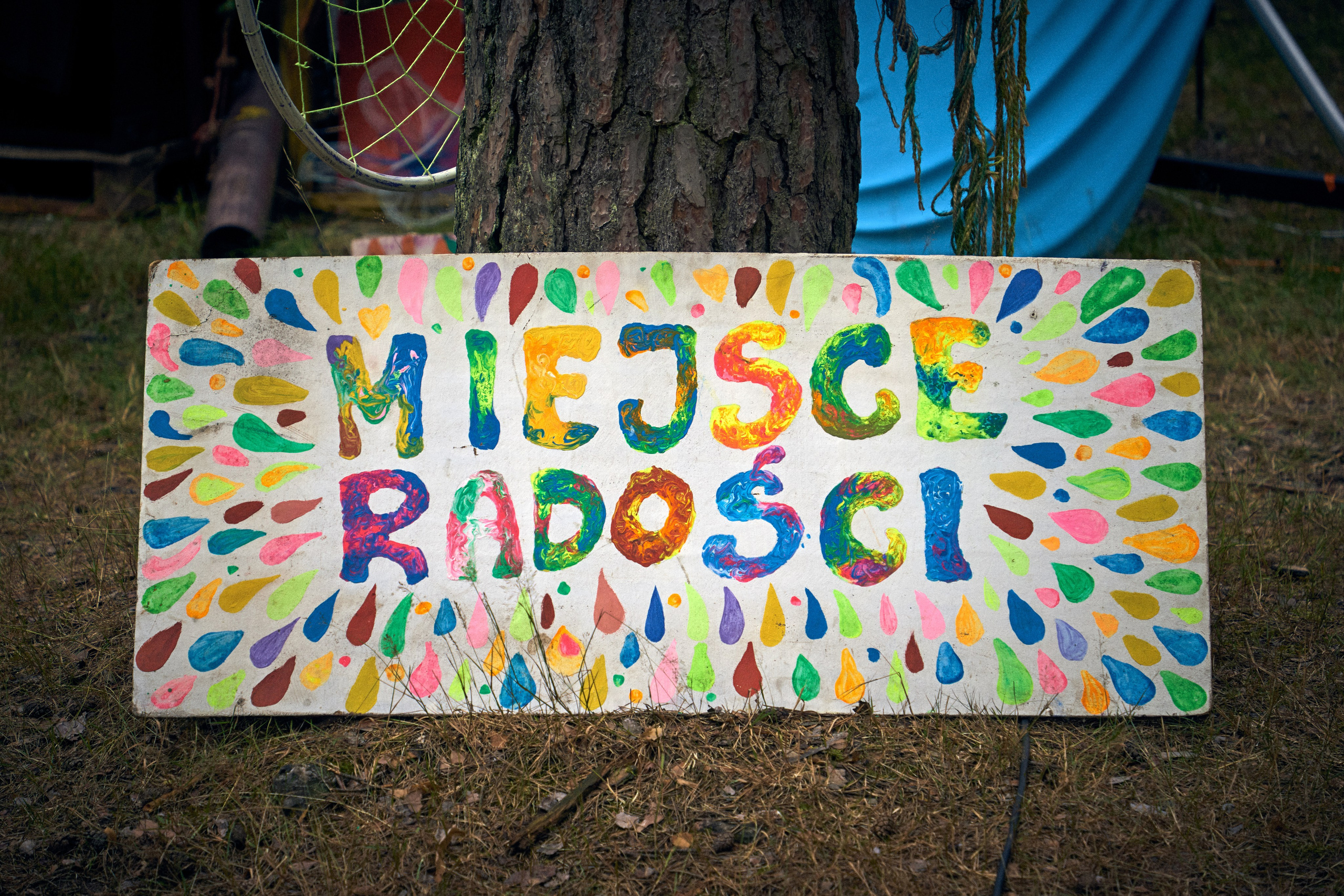 Organic Festival 2024. Андрей Шипилов — Фотография & Видеография