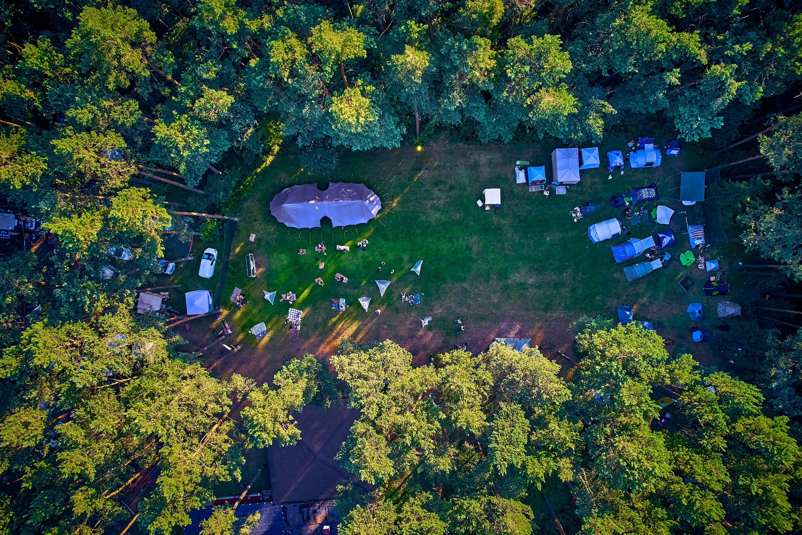 Organic Festival 2024. Андрей Шипилов — Фотография & Видеография