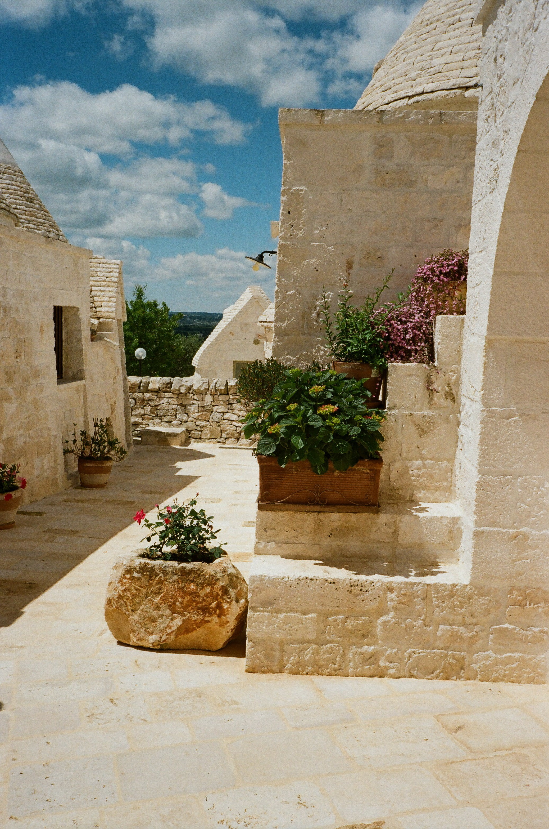 Stephanie & Christian film photos. Весільний фотограф Вікторія Саврук