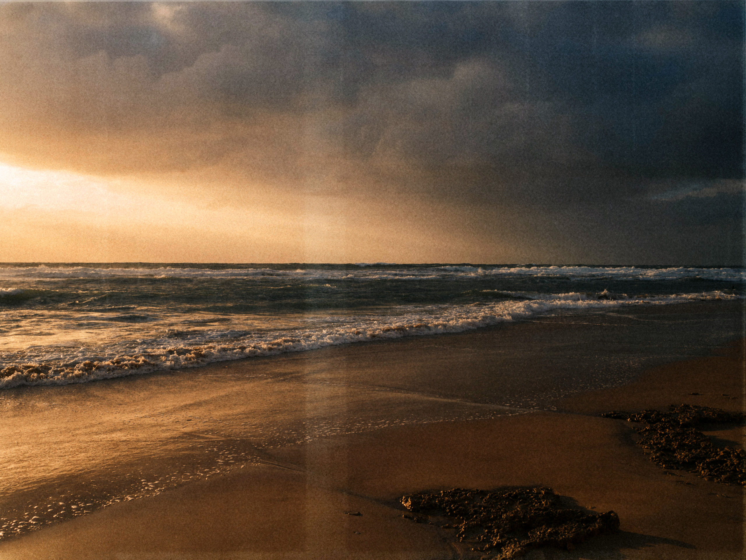 LITA. Photographer Inna Mendelson